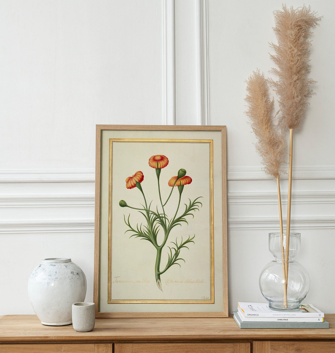 Why Natural History Prints Are Making a Comeback | Wallango