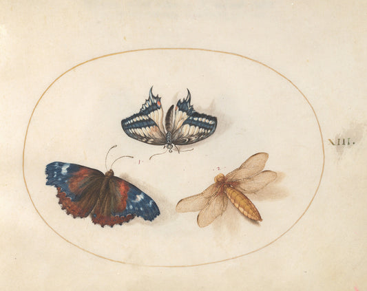 Joris Hoefnagel and The Four Elements