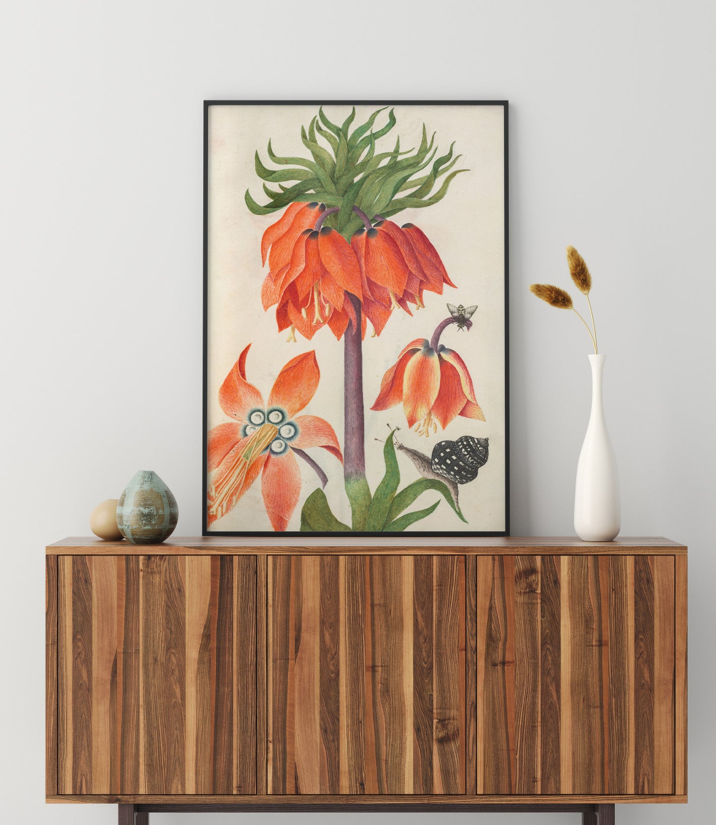 Orange fritillaria imperialis (couronne impériale)