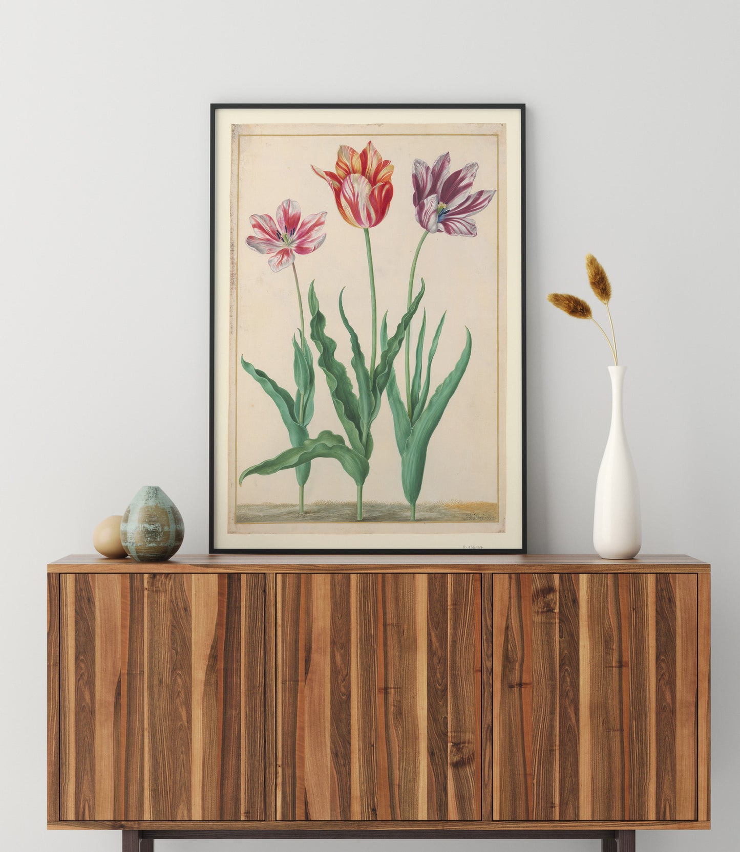 Tulipes horticoles, Johann Walter