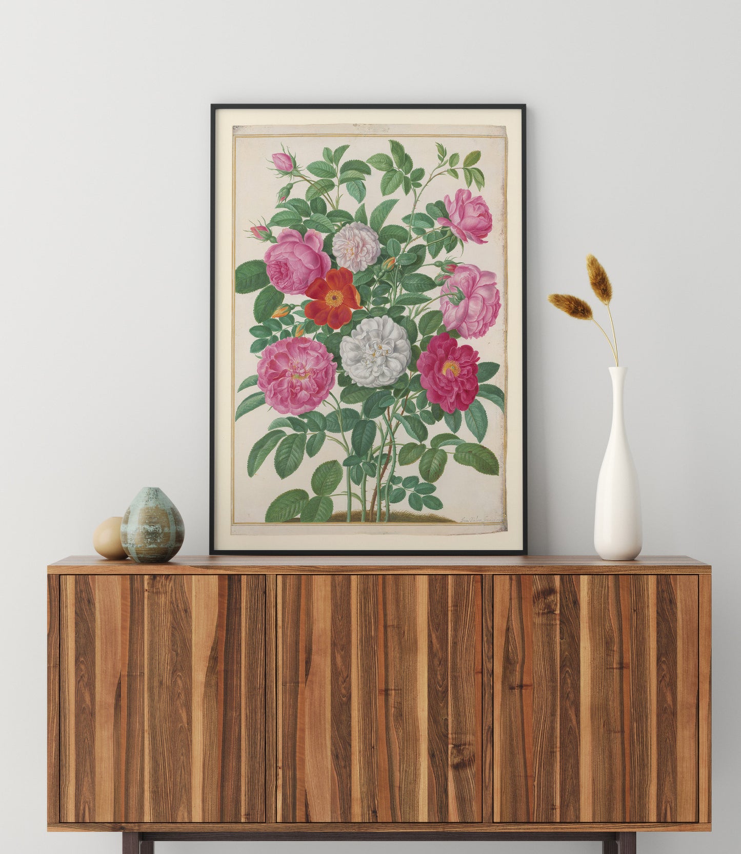 Roses horticoles et roses de capucine, Johann Walter