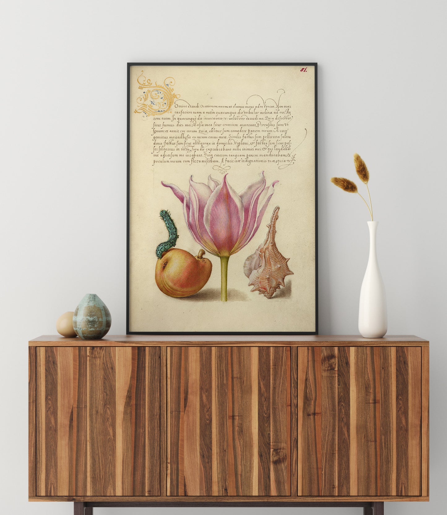 Caterpillar, Pear, Tulip, and Purple Snail