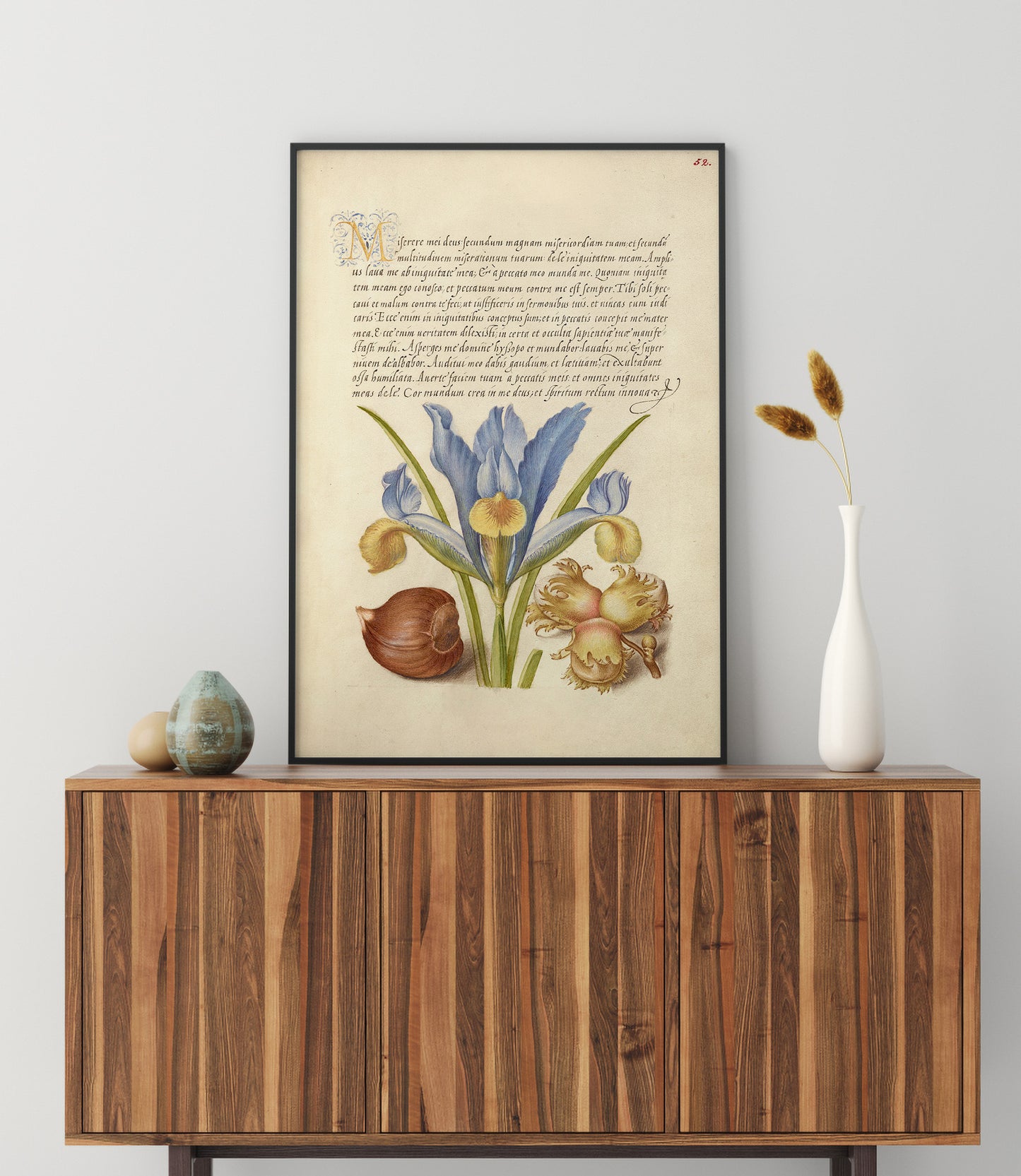 Spanish Chestnut, English Iris, and European Filbert