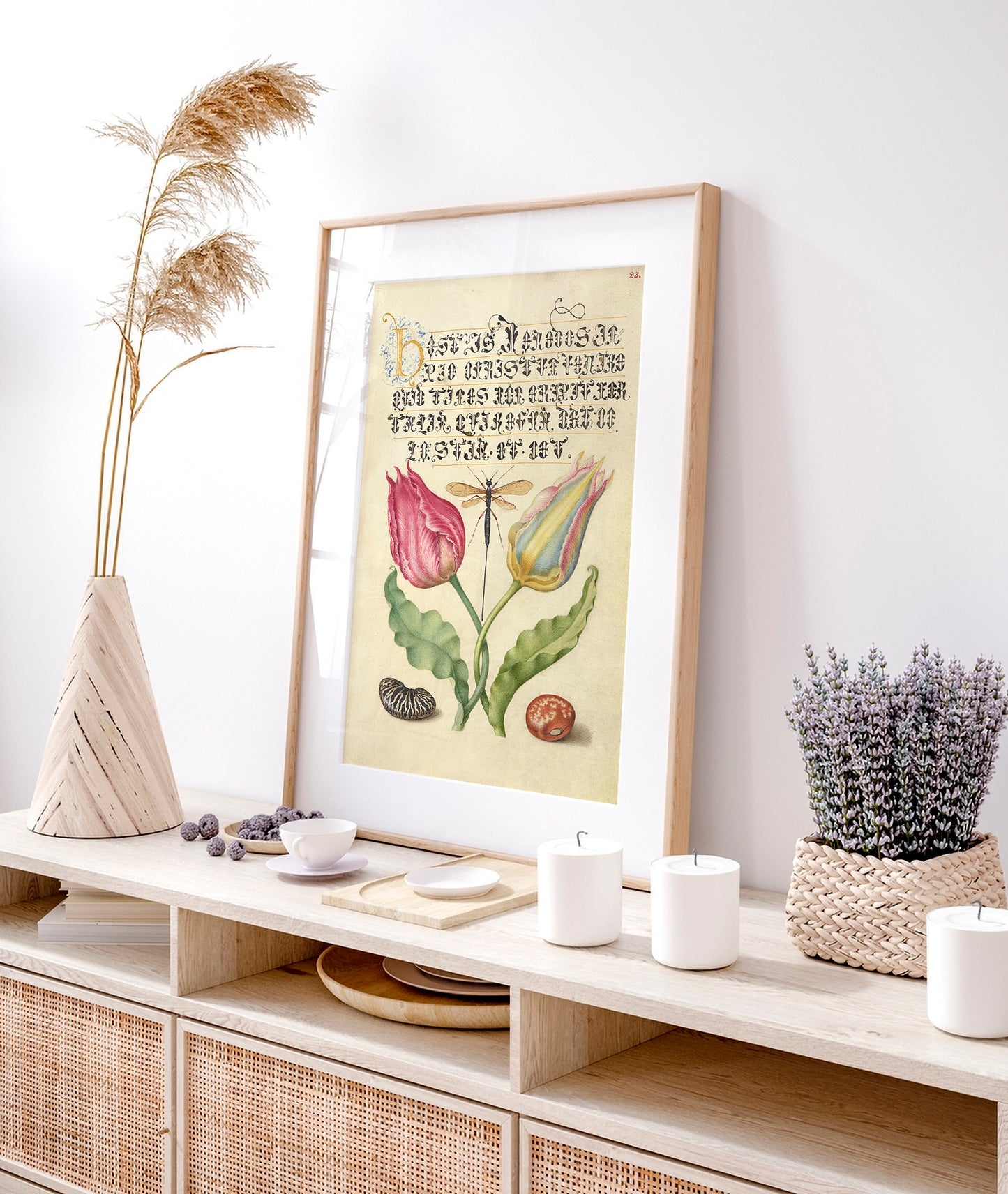 Gesner'sTulip, Ichneumon Fly, Kidney Bean, and Scarlet Runner Bean
