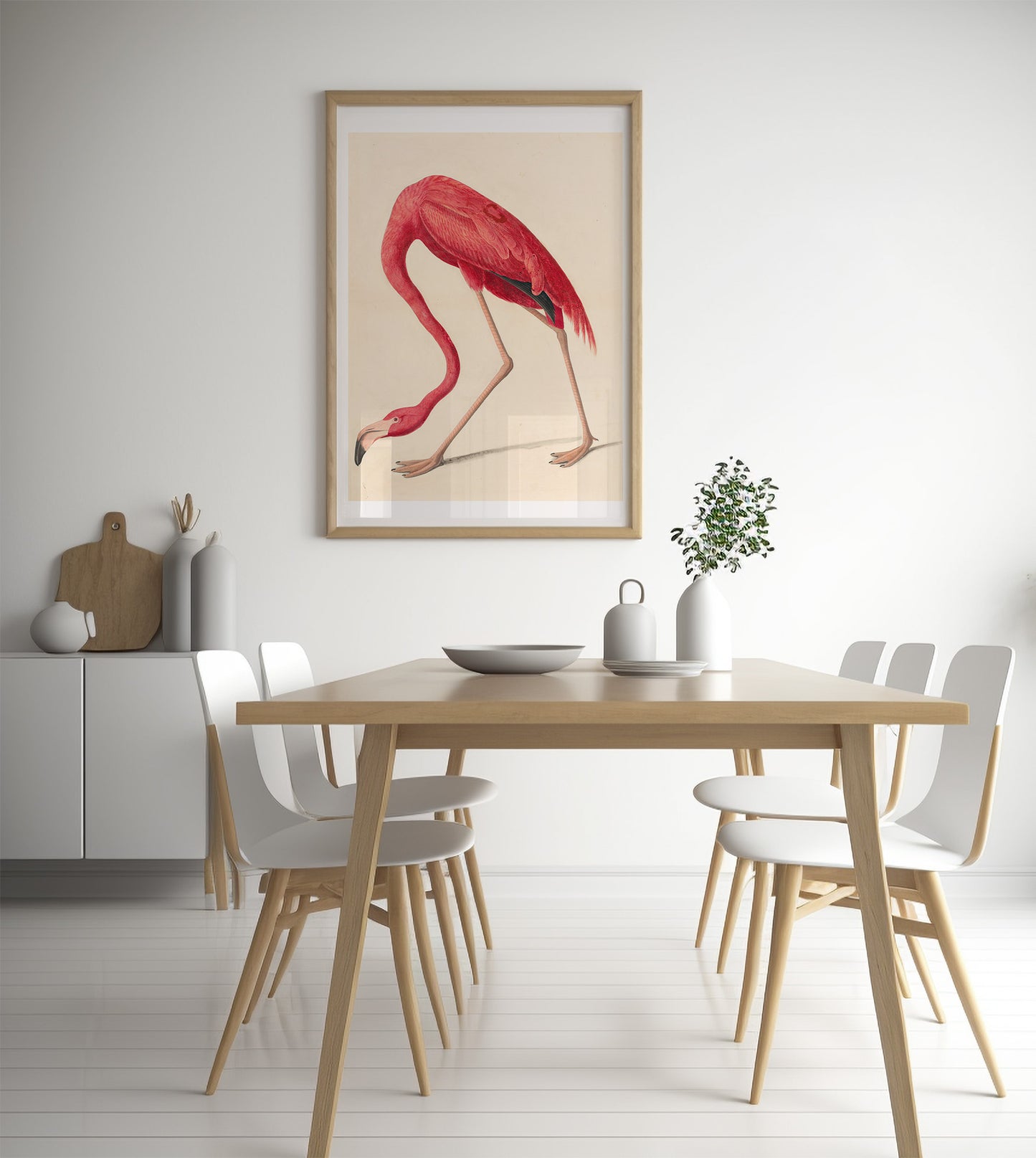 Affiche John James Audubon "Le Flamant Rose"