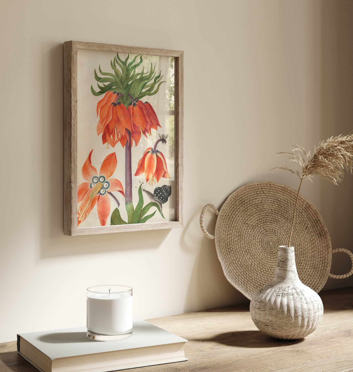 Orange fritillaria imperialis (couronne impériale)