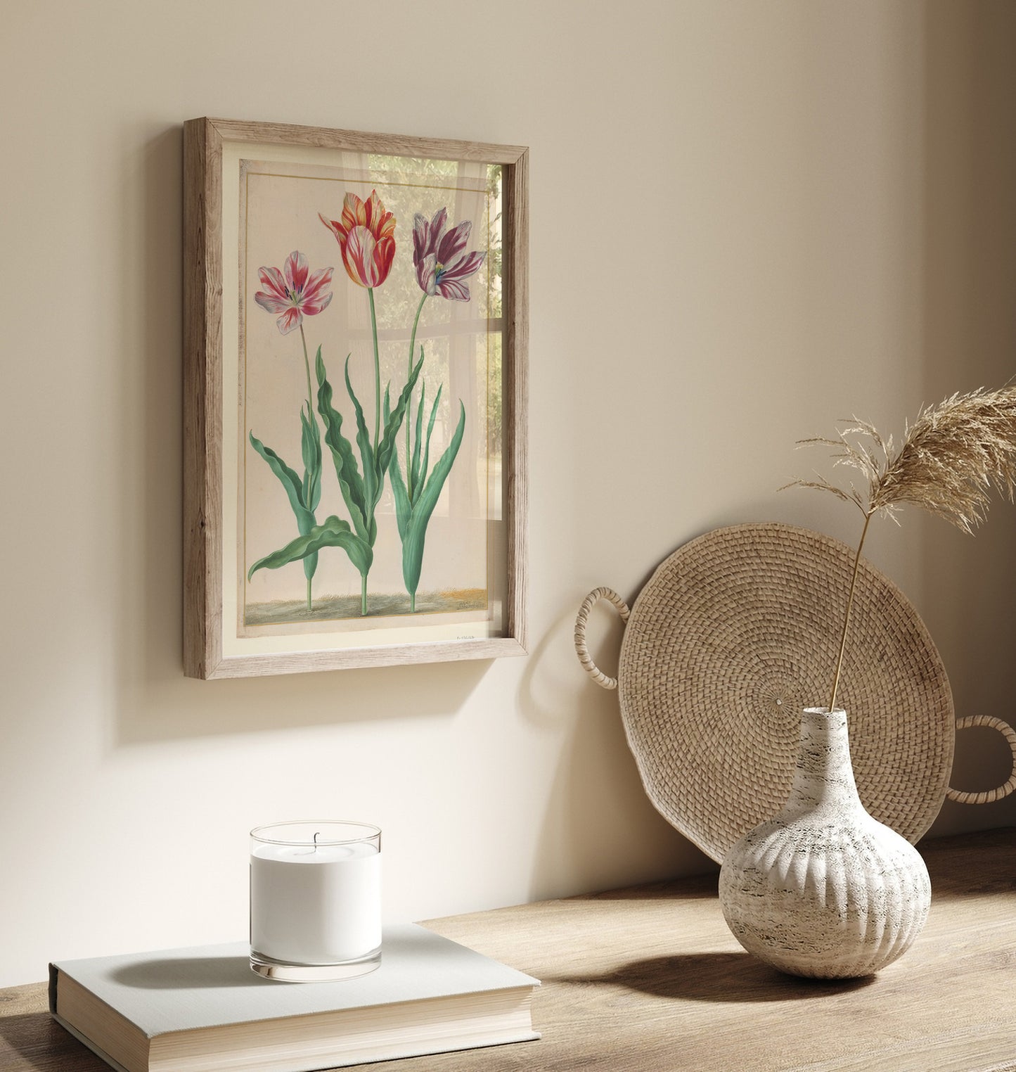Tulipes horticoles, Johann Walter