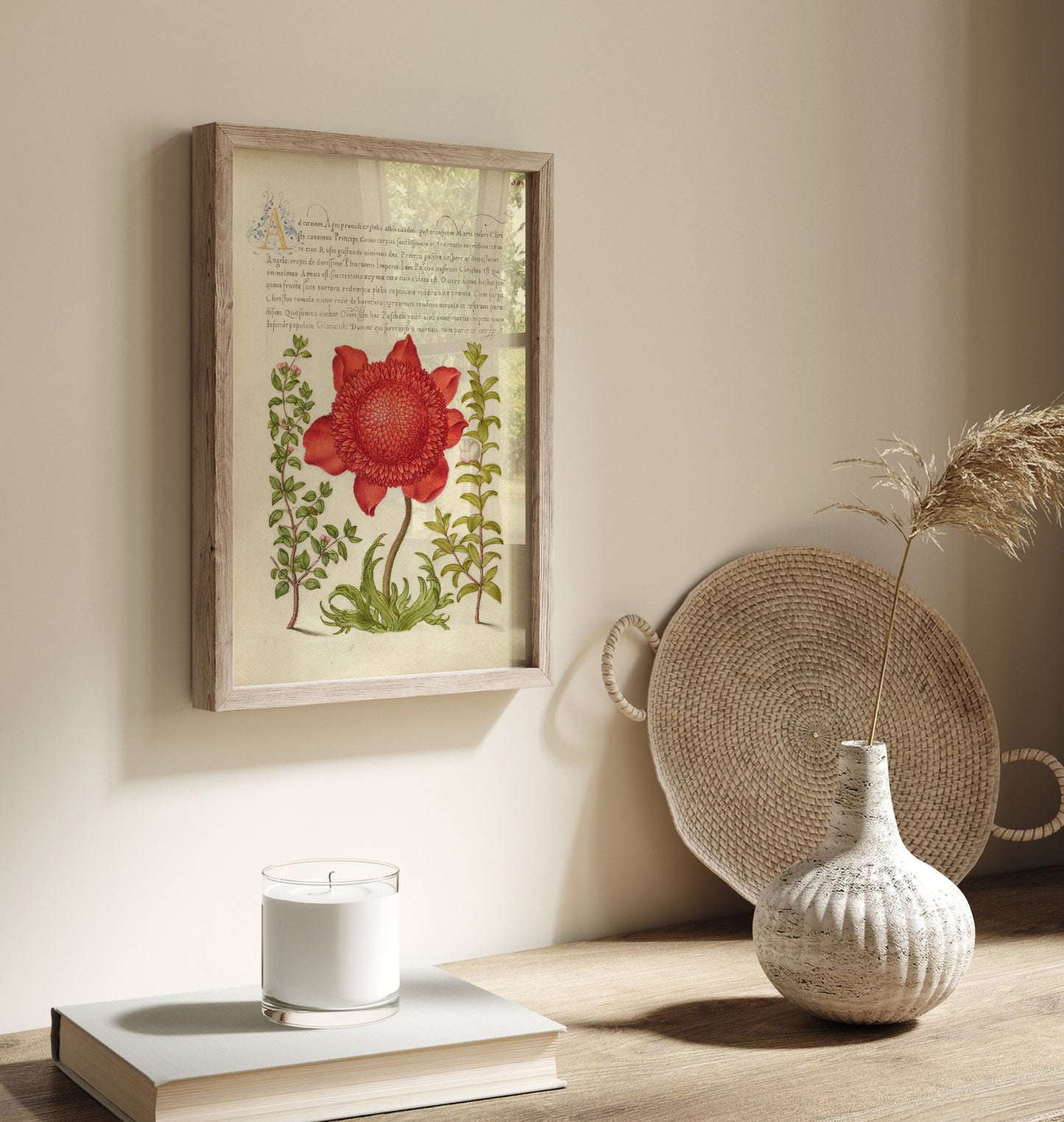 Basil Thyme, Poppy Anemone, and Myrtle