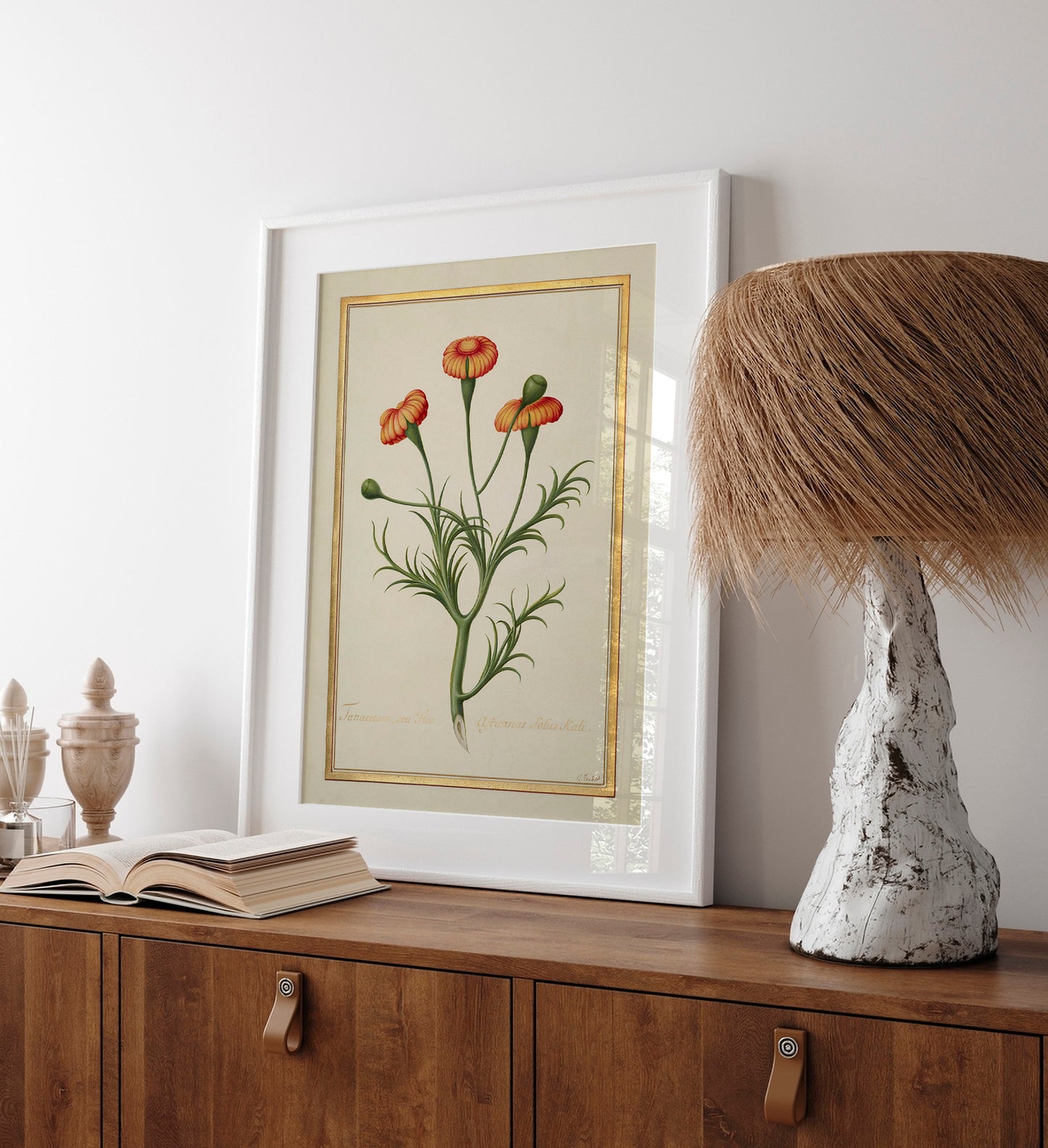 Fleur de Tanacetum