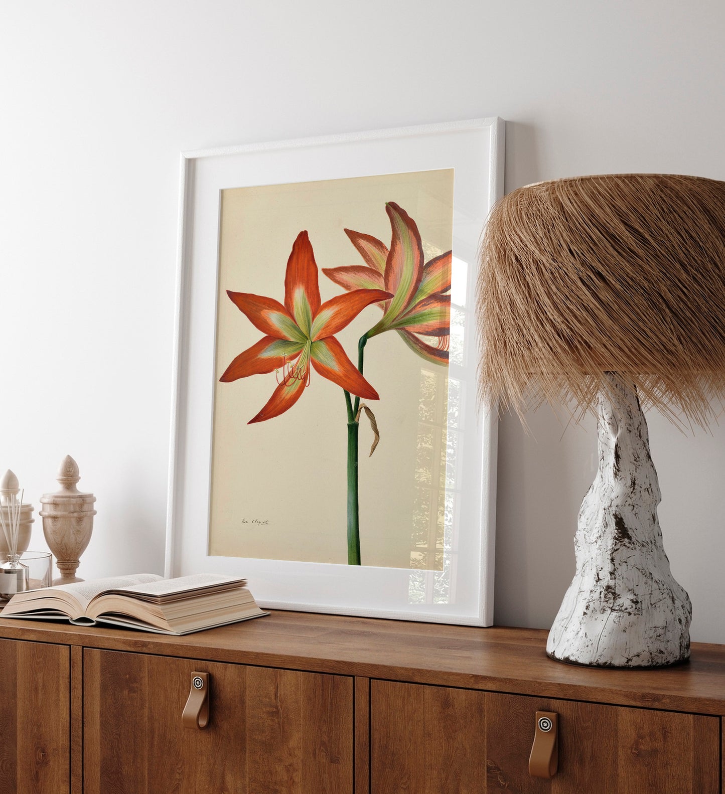 Amaryllis, Naked Lady par Lise Cloquet – Impression d'Art Botanique