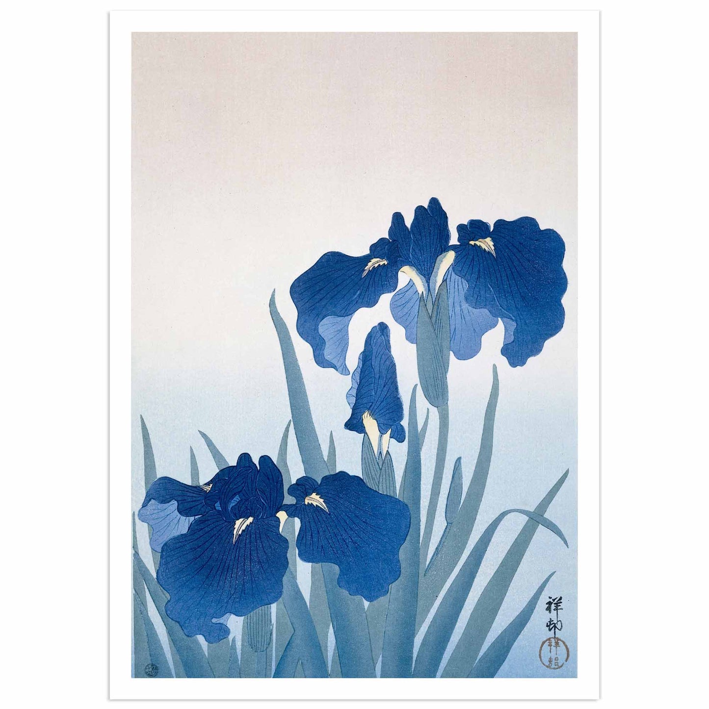 A high-definition print of a Japanese woodblock print by Ohara Koson featuring blue irises on a matte, museum-quality paper.