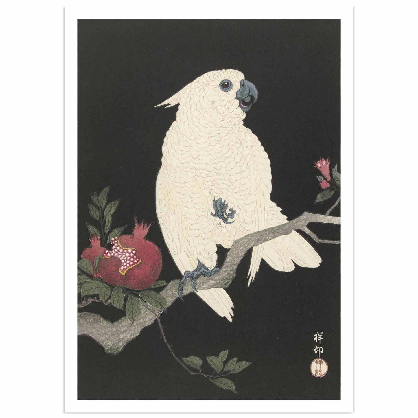 Cockatoo and Pomegranate - Ohara Koson Art Print
