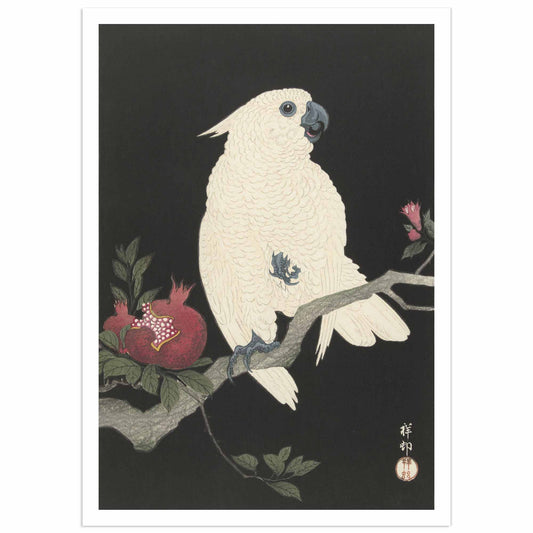 Cacatoès et grenade - Ohara Koson Art Print