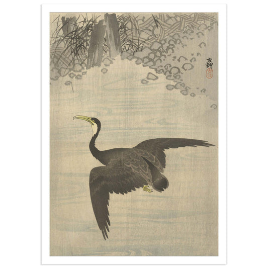 apanese woodblock print reproduction showing a black cormorant with spread wings flying low over rippling water, artwork by Ohara Koson.