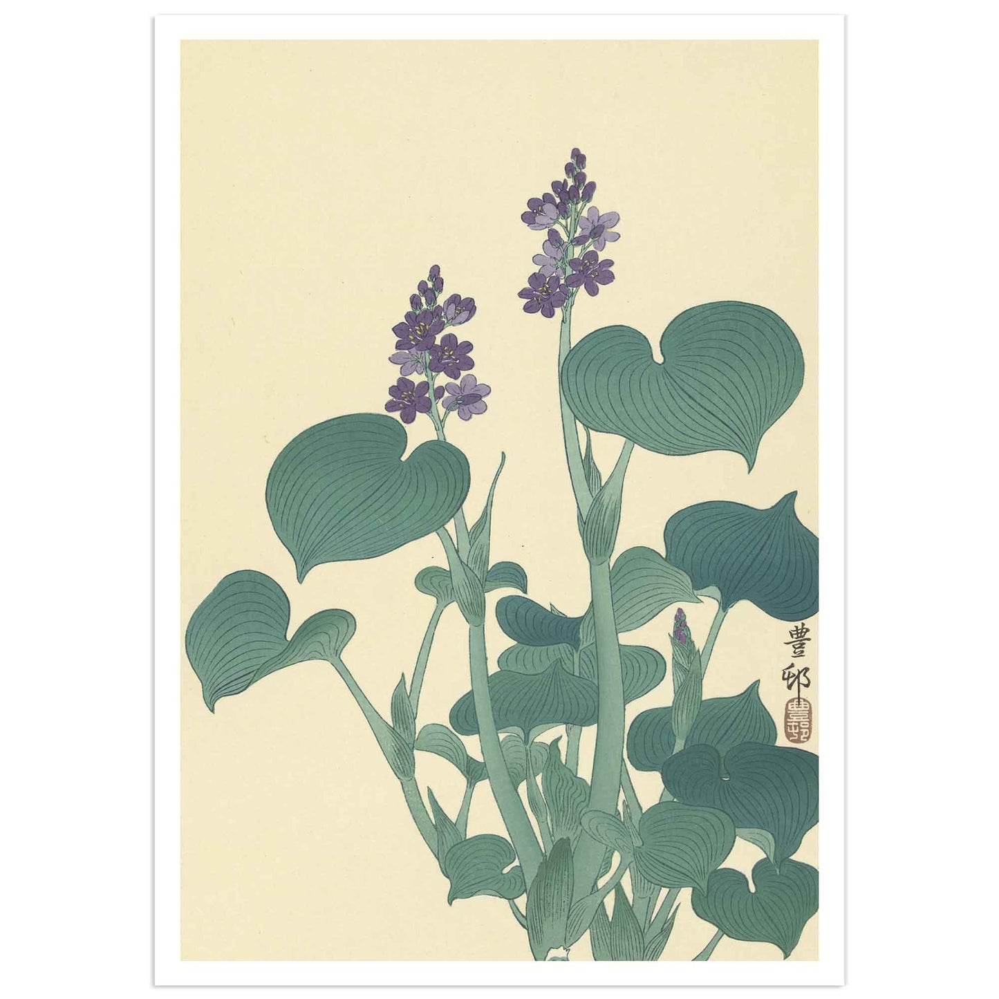 A poster featuring a woodblock print by Ohara Koson of a flowering hosta plant with purple flowers and green leaves.