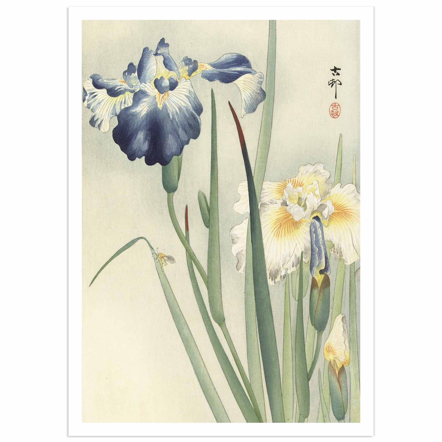 A Japanese woodblock print featuring a close-up of multiple irises with green stalks and blue-green flowers, with Japanese characters in the top right corner.