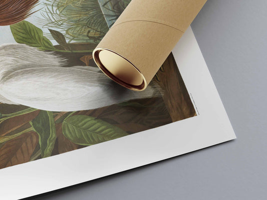 John James Audubon poster "Purple Heron"