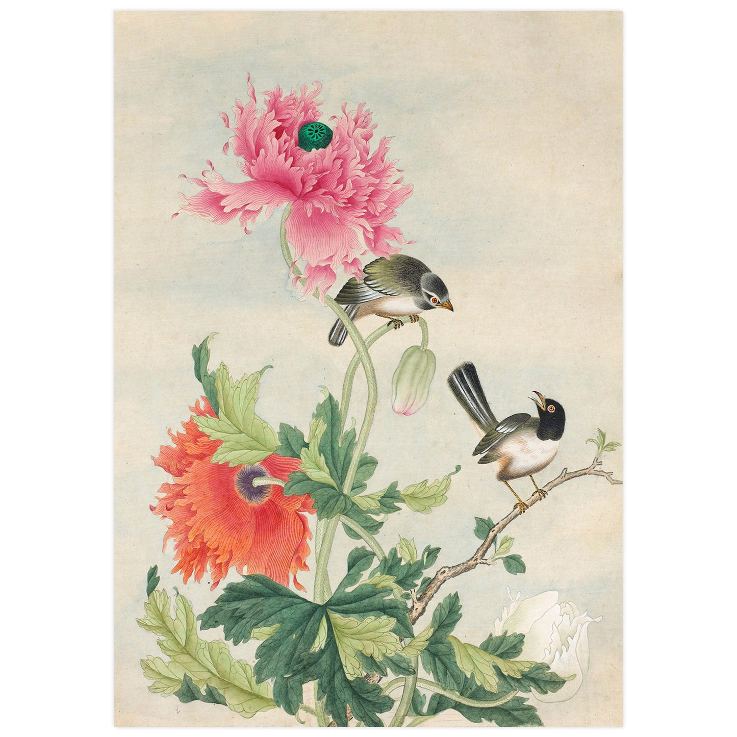 Oiseaux et fleurs