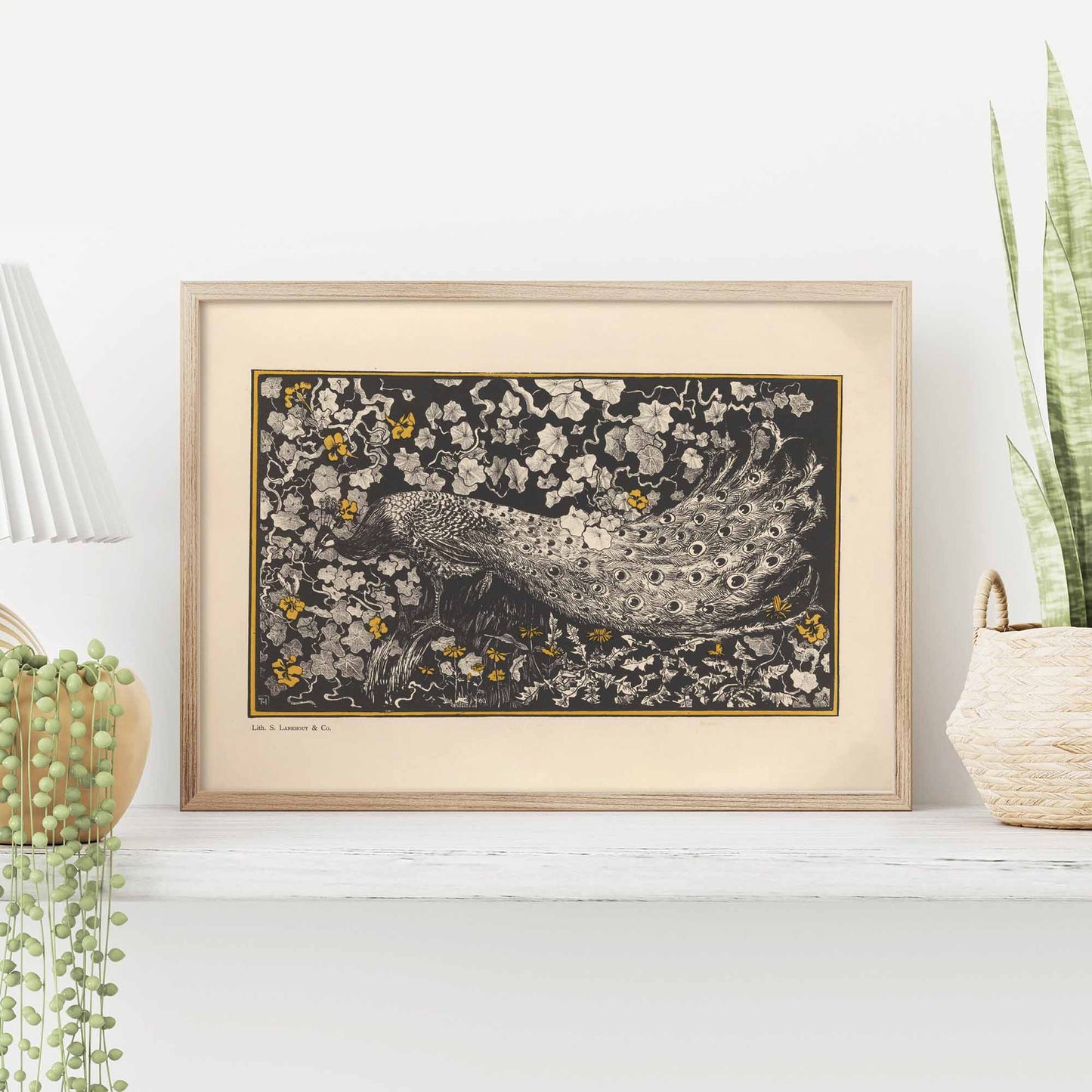 Pauw de Theo van Hoytema - Lithographie de paon vintage Impression artistique
