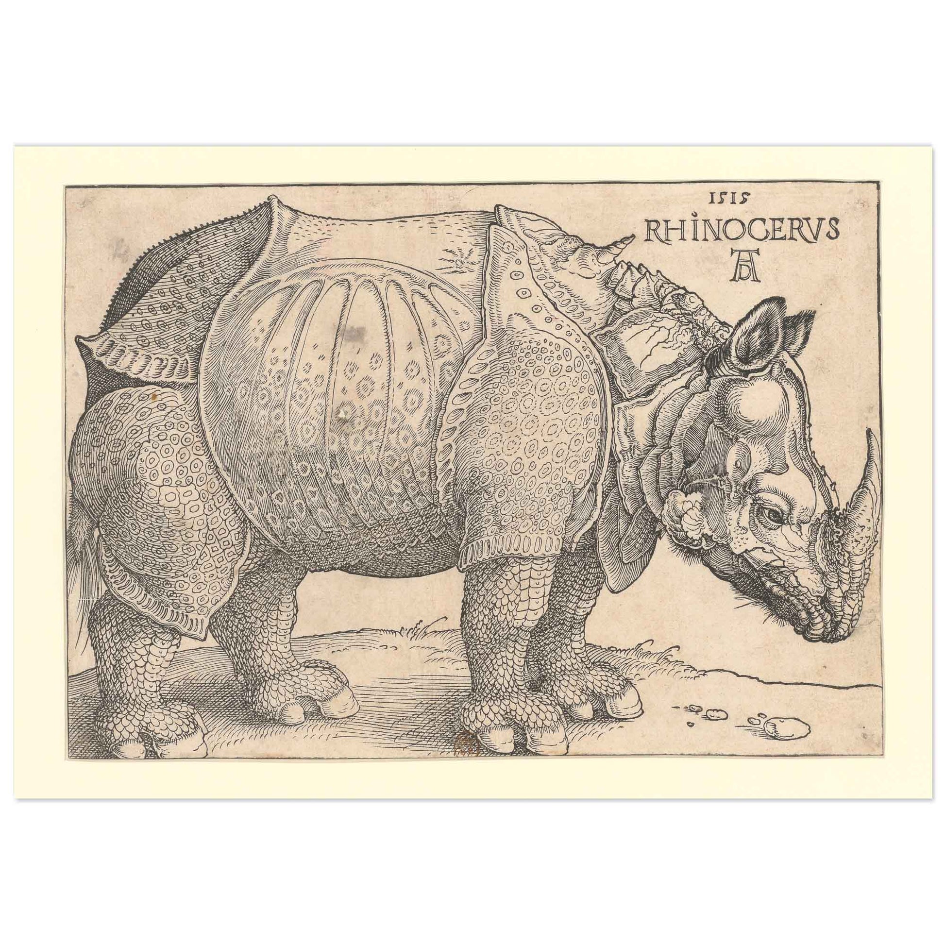 Albrecht Dürer poster Rhinoceros