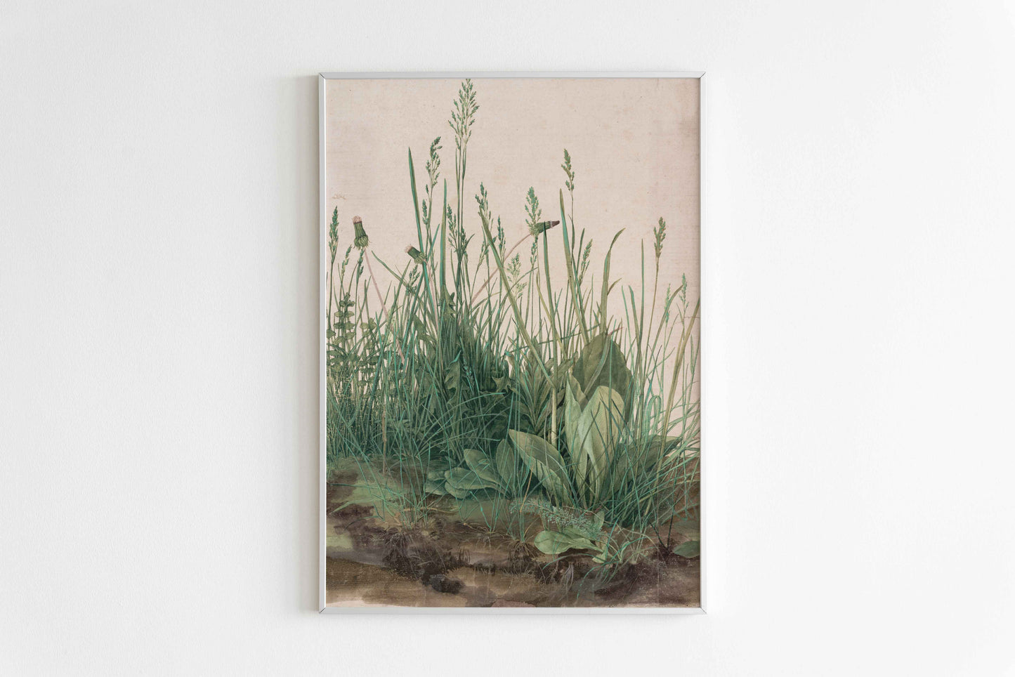 The Large Piece of Turf – Albrecht Dürer (1503)