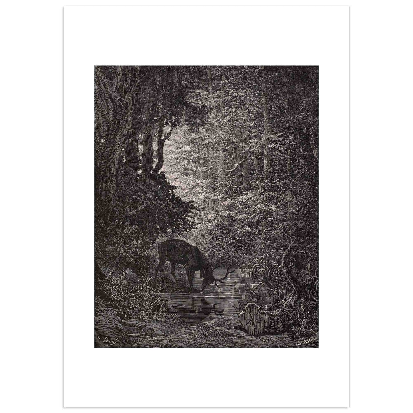 Gustave Doré engraving of a majestic stag gazing into a pond in a dark forest, surrounded by twisted trees and moonlight reflections – illustration for the fable The Stag at the Pool by Jean de La Fontaine (1867)