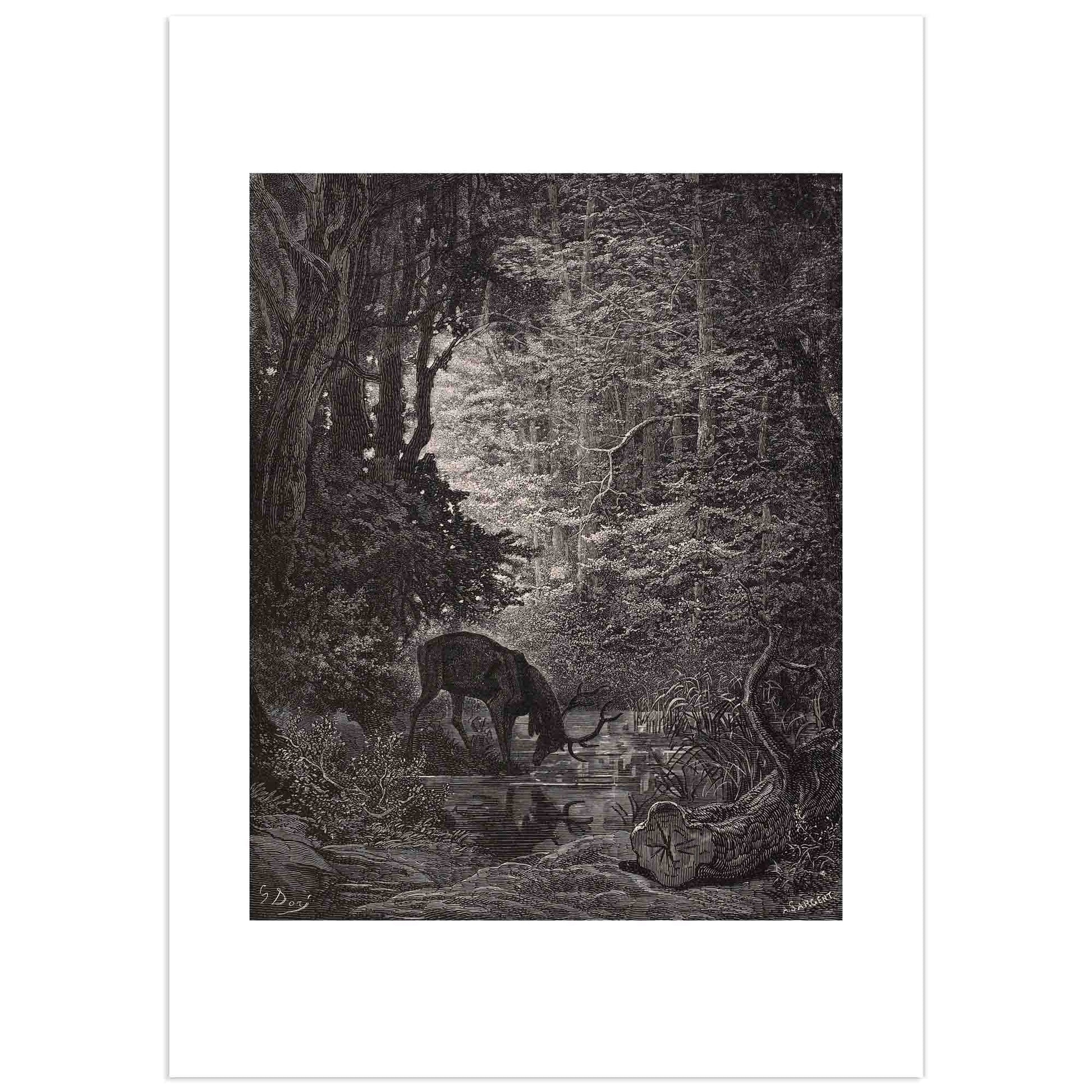 Gustave Doré engraving of a majestic stag gazing into a pond in a dark forest, surrounded by twisted trees and moonlight reflections – illustration for the fable The Stag at the Pool by Jean de La Fontaine (1867)