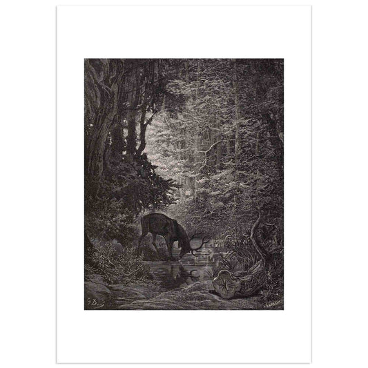 Gustave Doré engraving of a majestic stag gazing into a pond in a dark forest, surrounded by twisted trees and moonlight reflections – illustration for the fable The Stag at the Pool by Jean de La Fontaine (1867)
