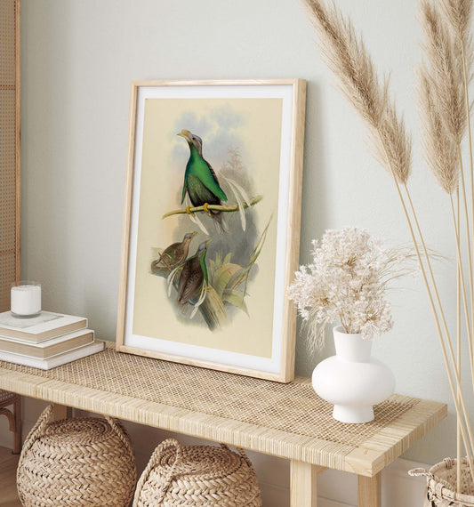 Wallace's Standardwing Poster - Henry Constantine Richter