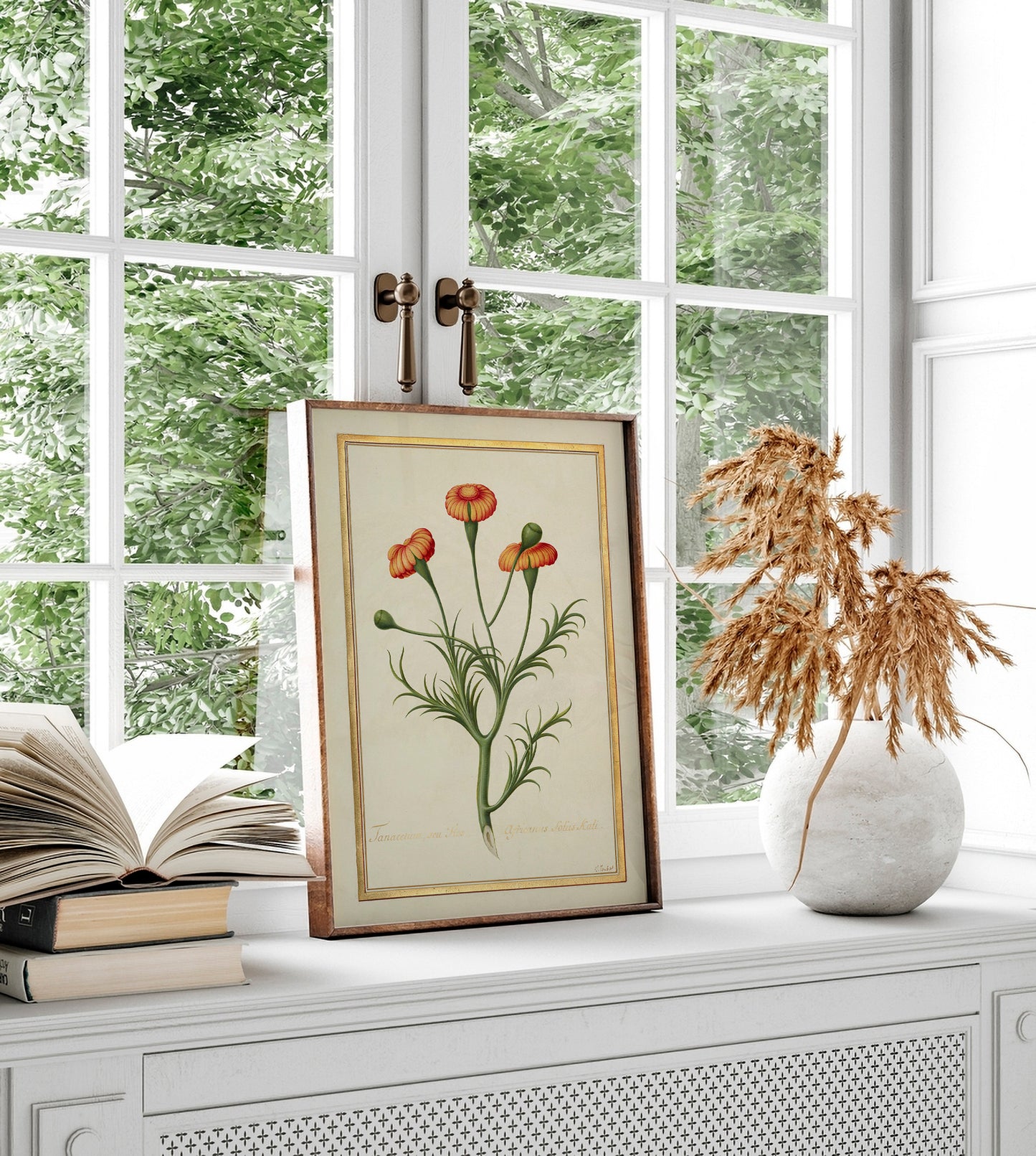 Fleur de Tanacetum