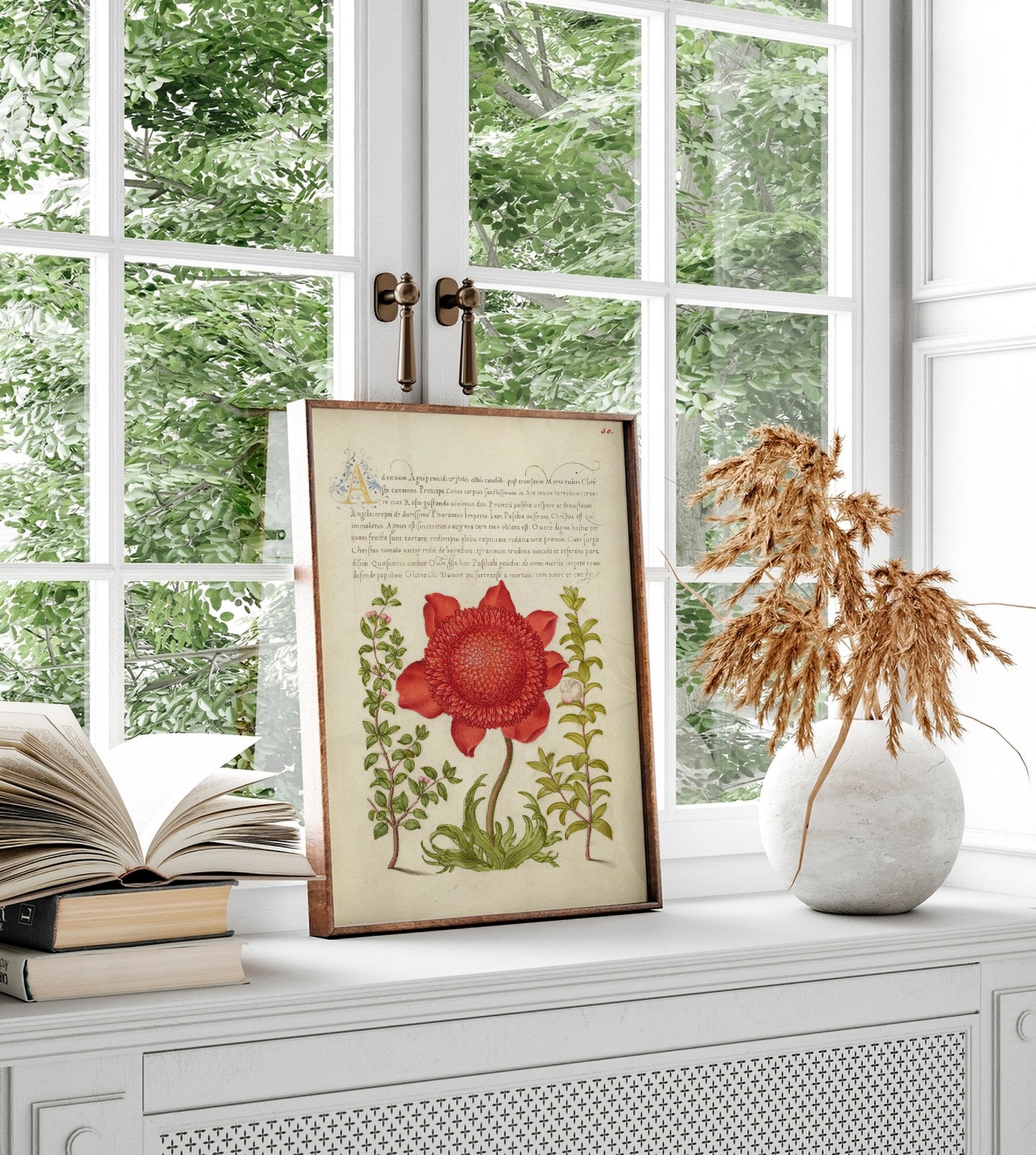 Basil Thyme, Poppy Anemone, and Myrtle