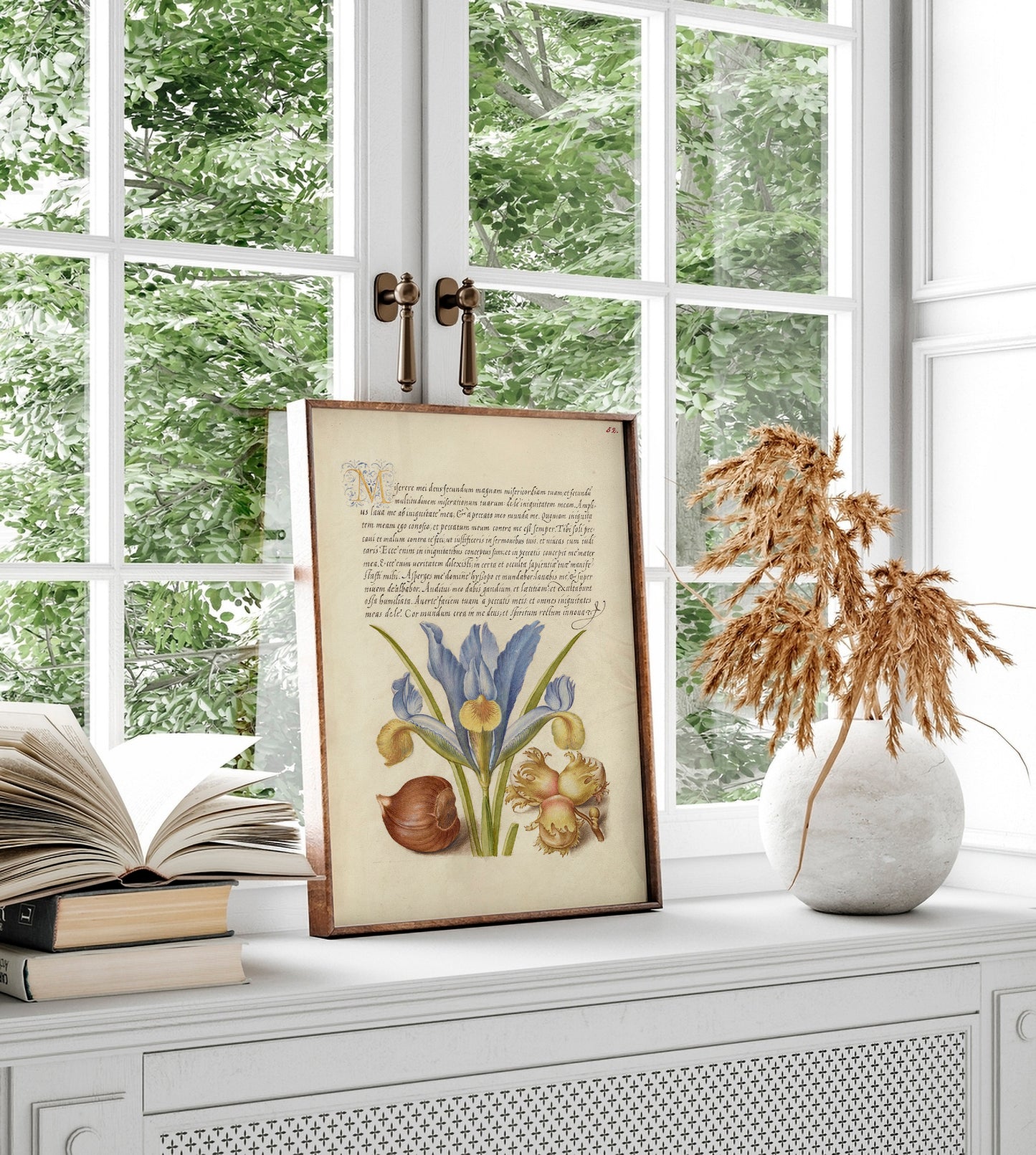 Spanish Chestnut, English Iris, and European Filbert