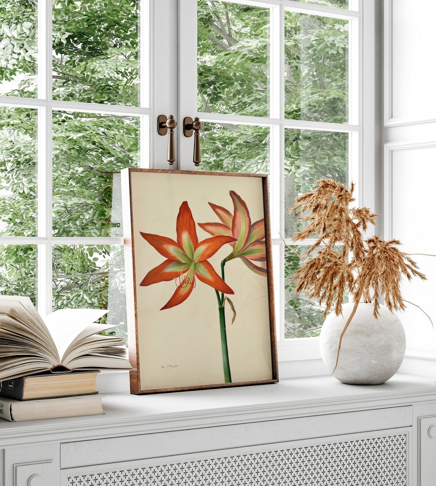 Amaryllis, Naked Lady par Lise Cloquet – Impression d'Art Botanique