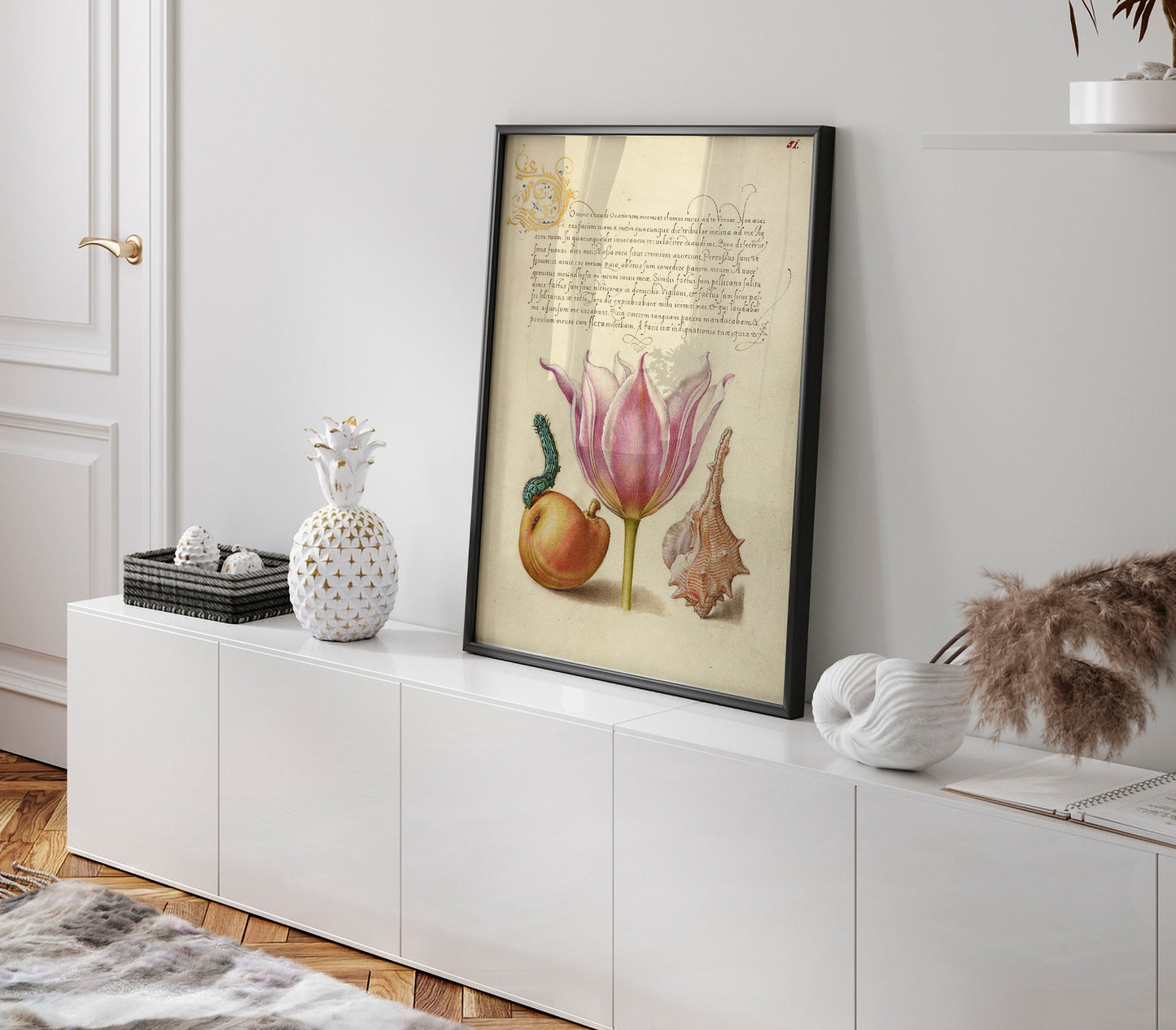 Caterpillar, Pear, Tulip, and Purple Snail