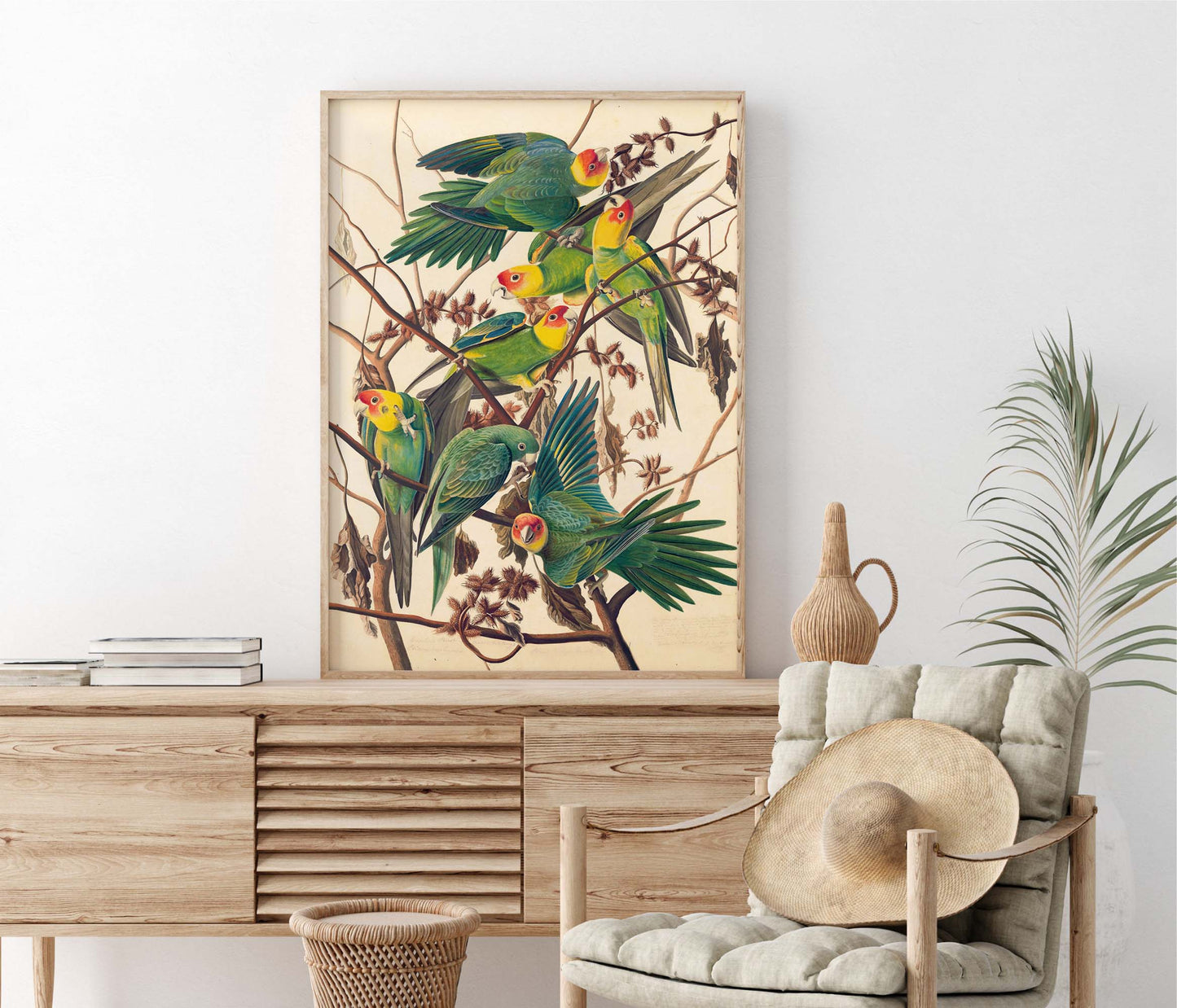 Affiche John James Audubon "Carolina Parakeets"