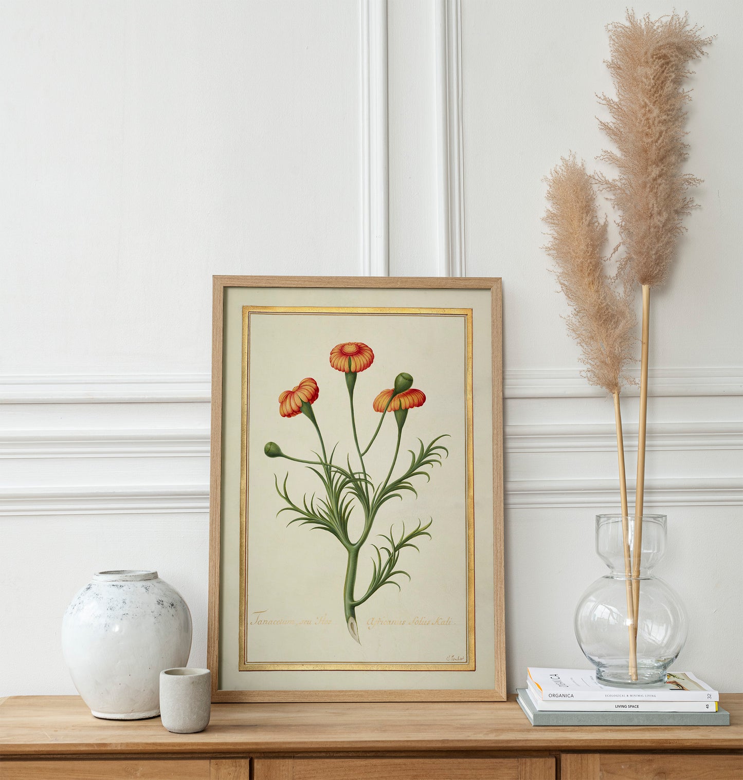 Fleur de Tanacetum
