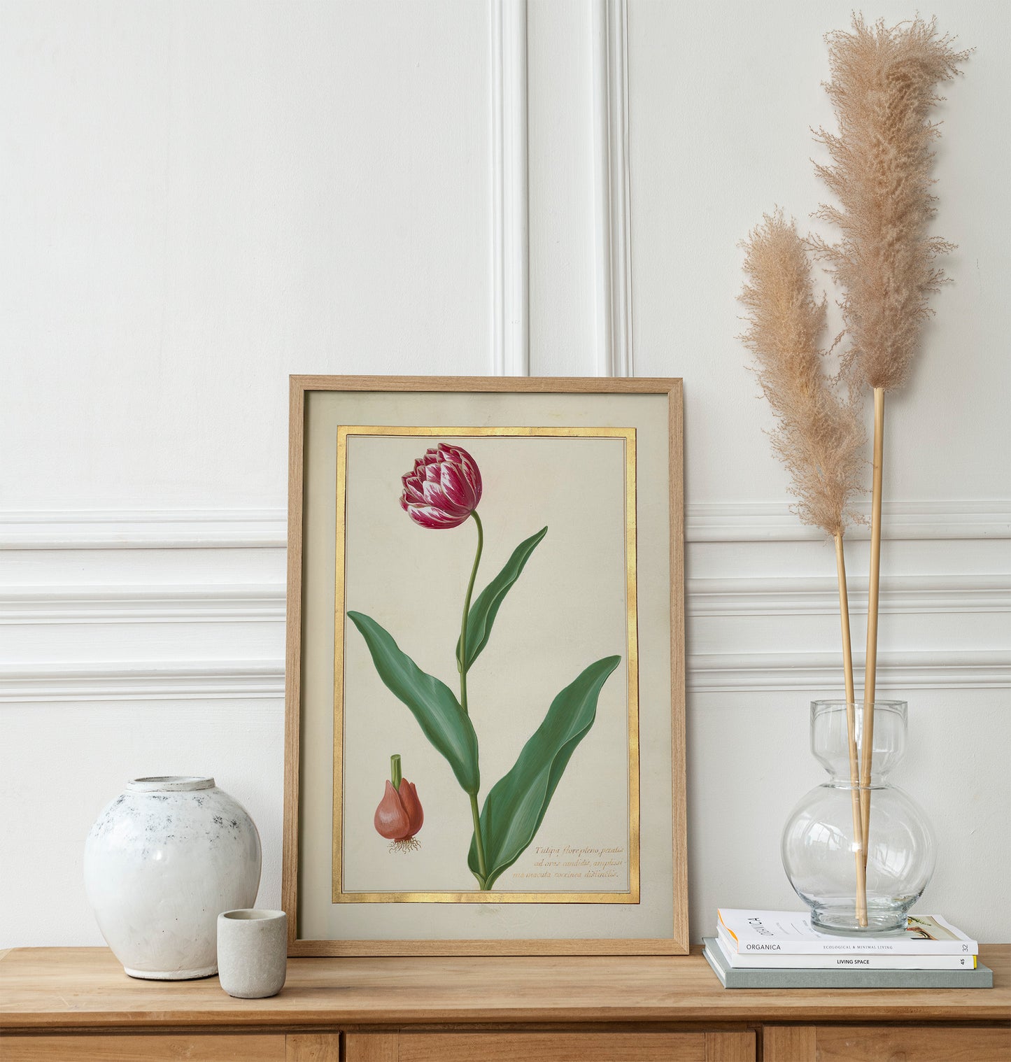 Tulipe