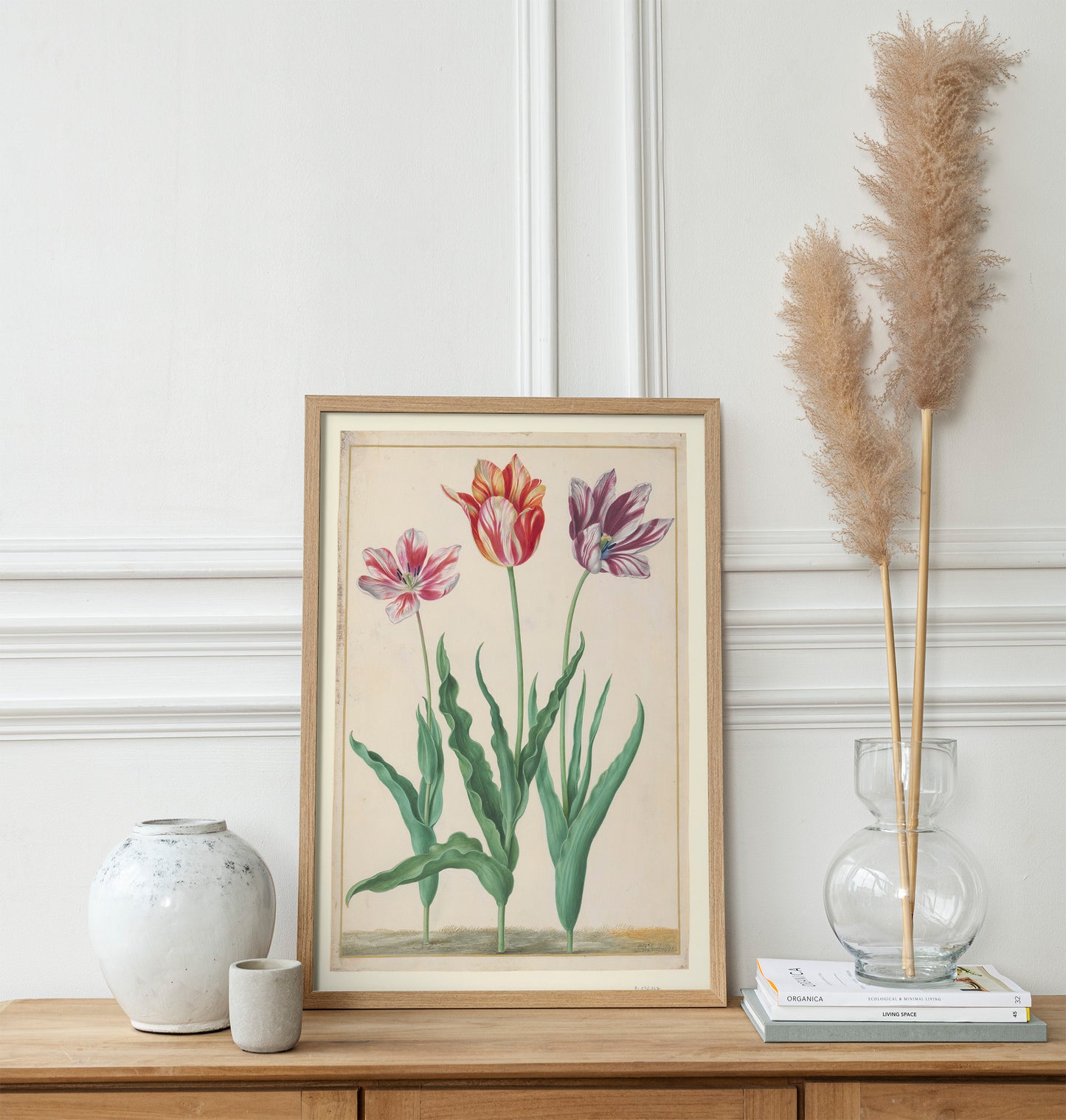 Tulipes horticoles, Johann Walter