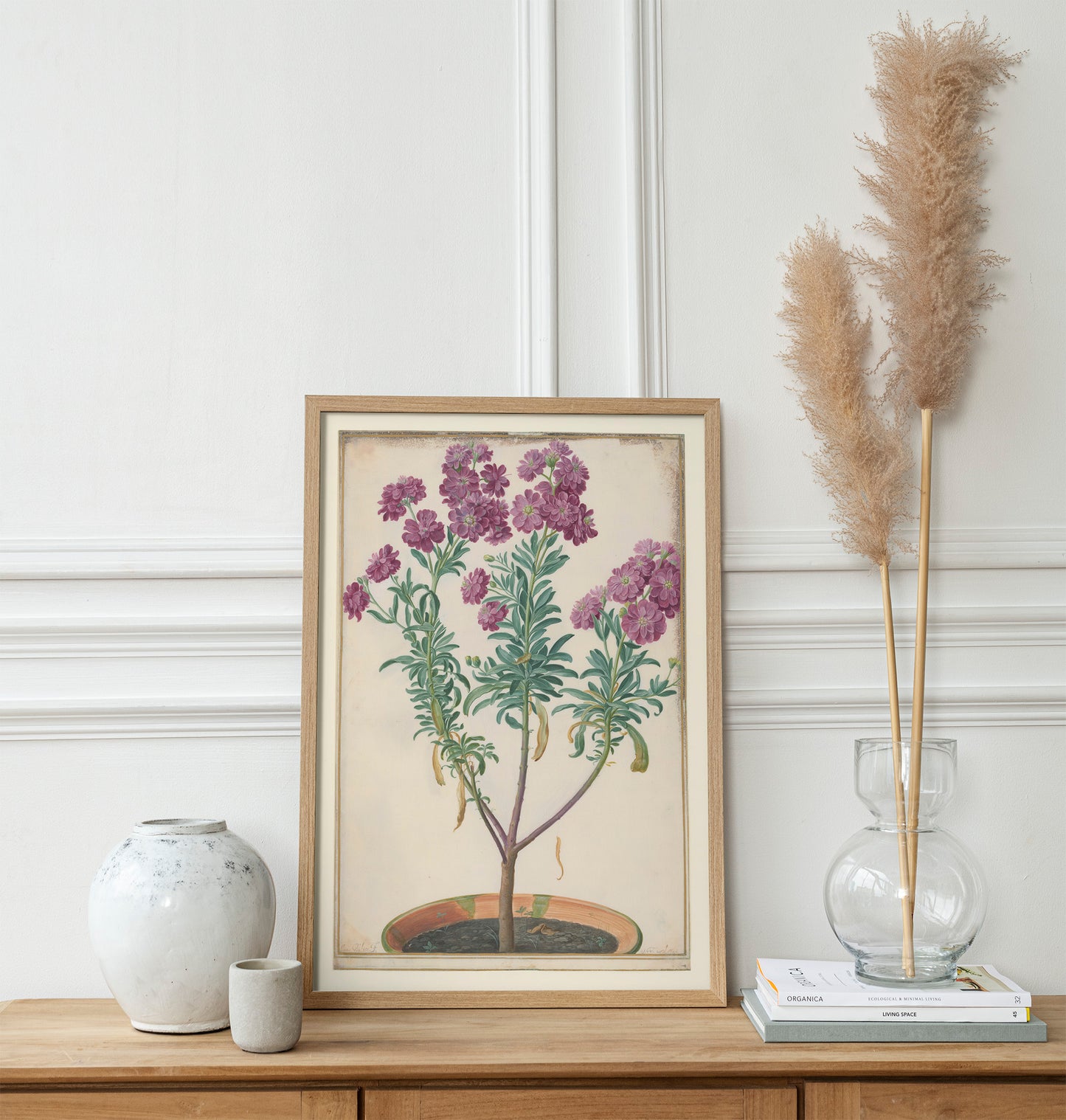 Pink-flowered wallflower, Johann Walter