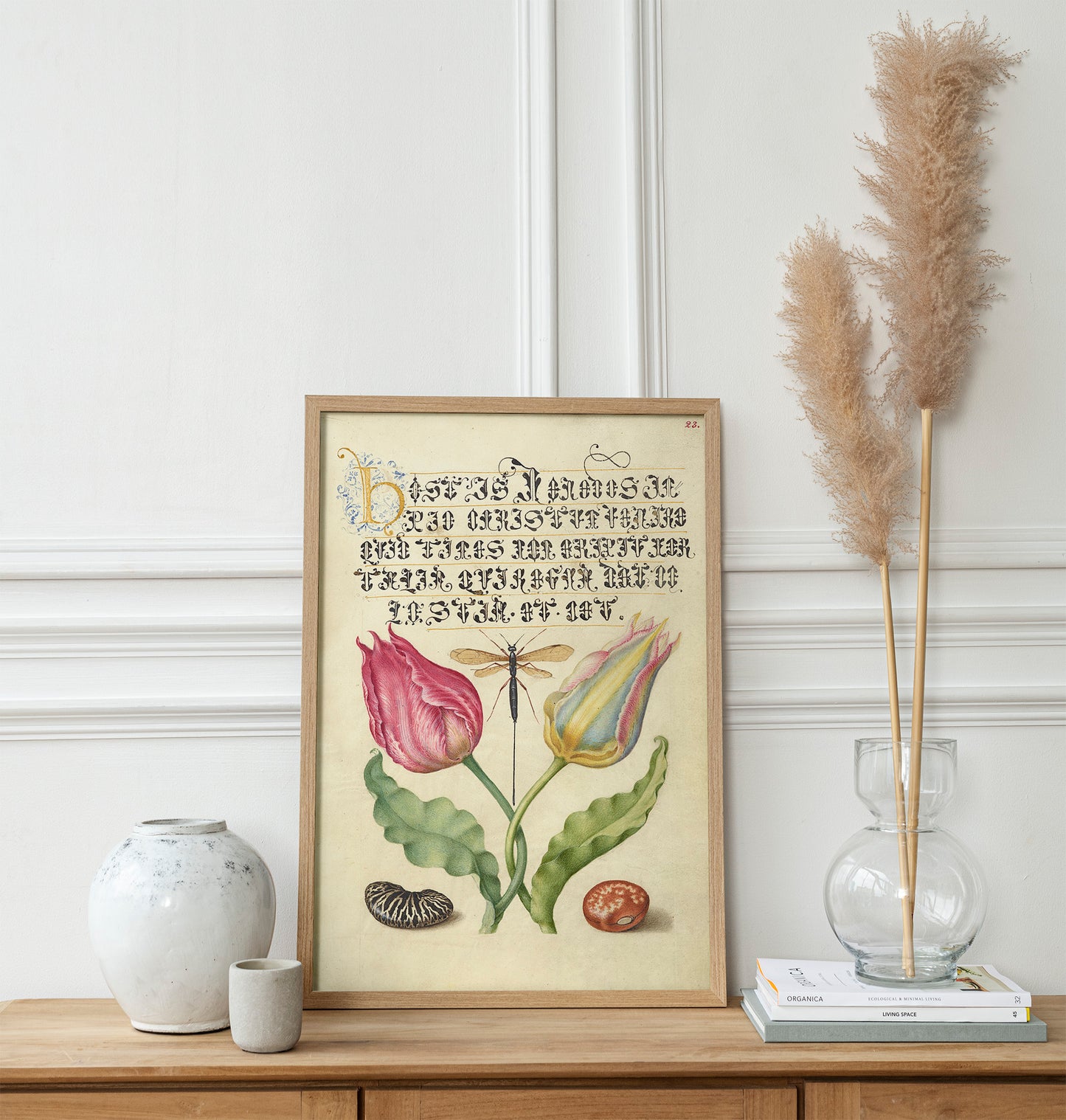 Gesner'sTulip, Ichneumon Fly, Kidney Bean, and Scarlet Runner Bean