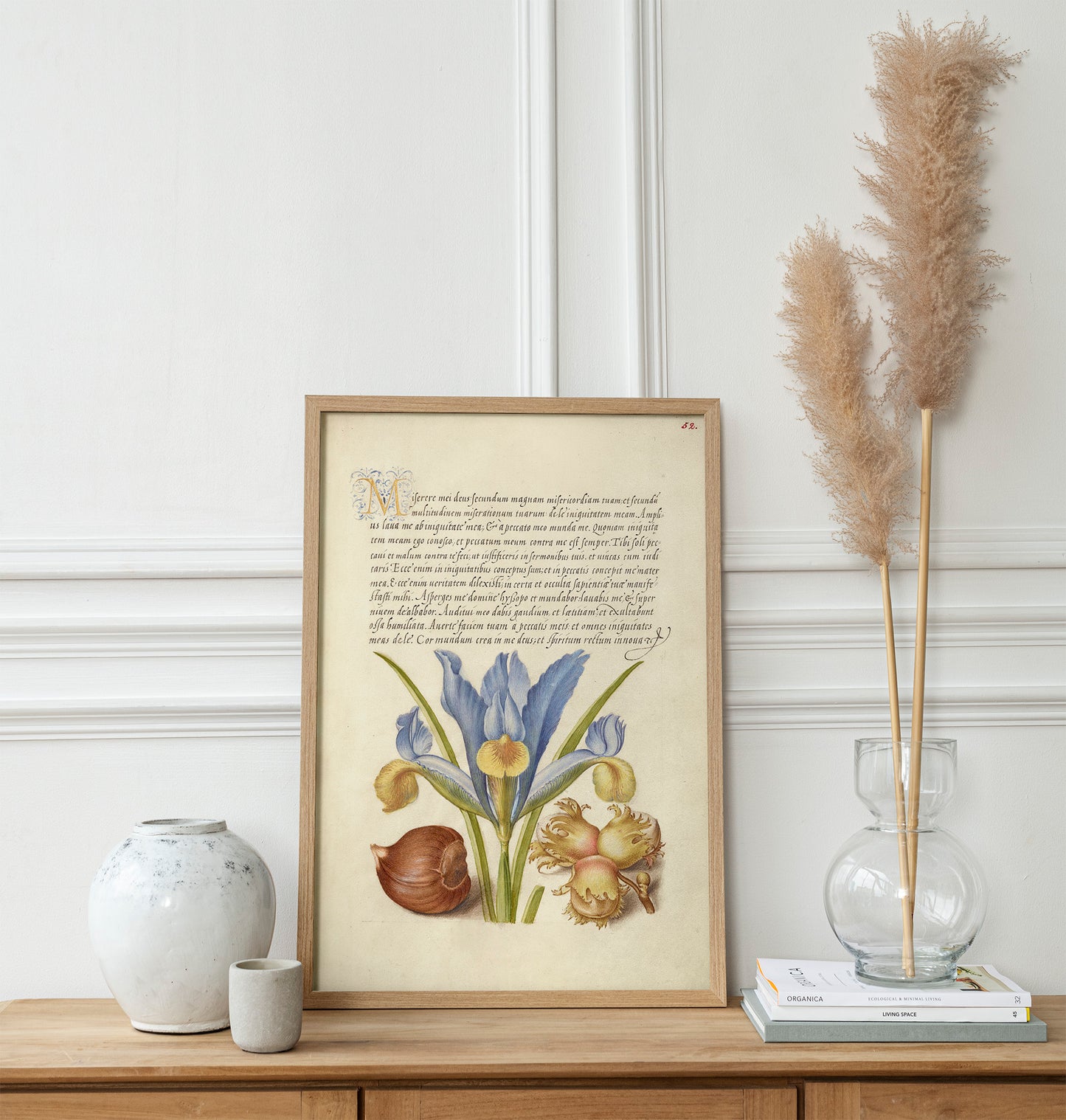 Spanish Chestnut, English Iris, and European Filbert