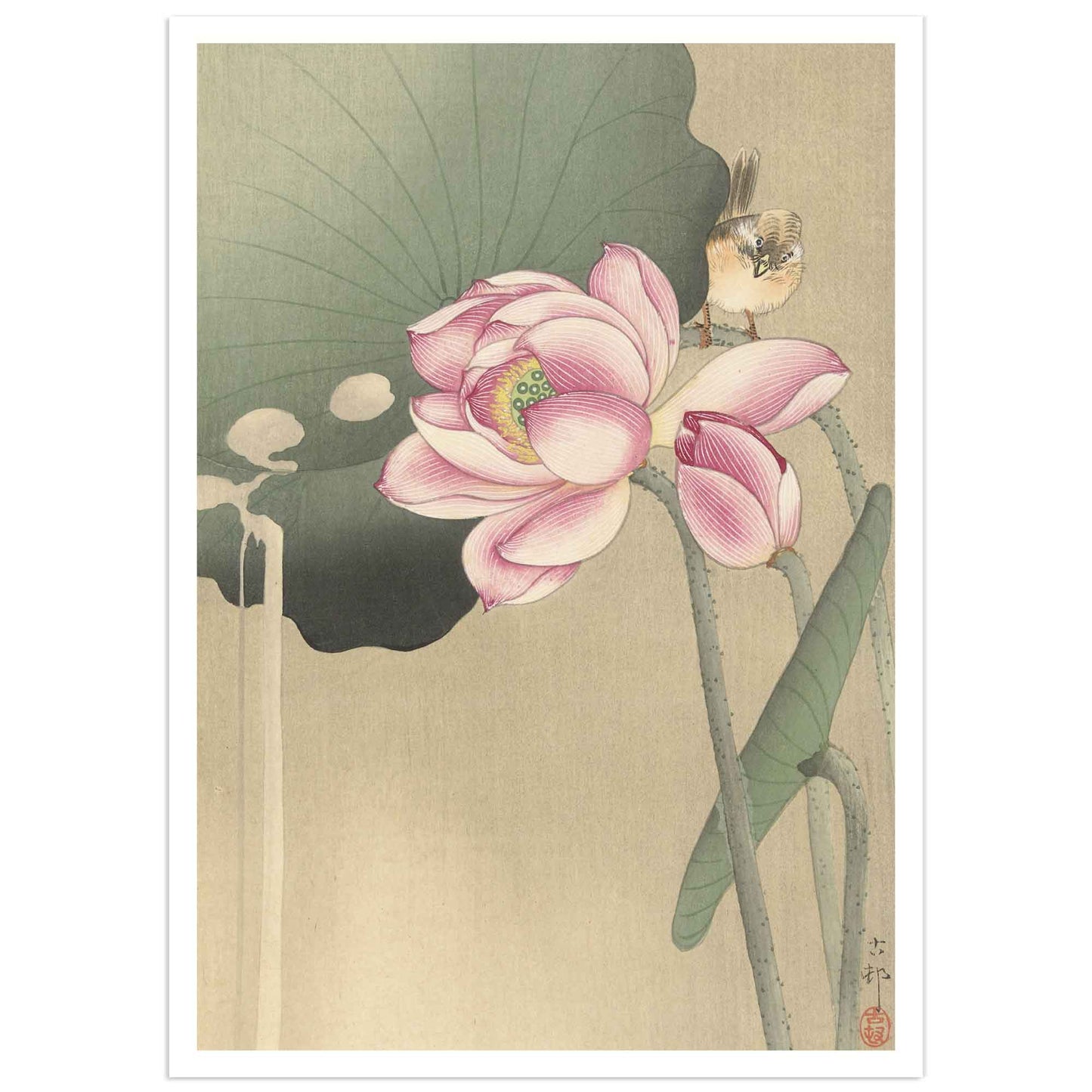 Woodblock print of a songbird perched among blooming lotus flowers by Ohara Koson, circa 1900–1936.
