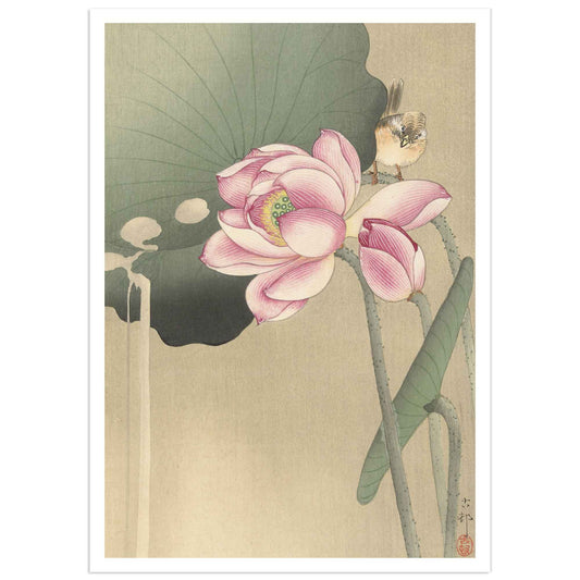 Woodblock print of a songbird perched among blooming lotus flowers by Ohara Koson, circa 1900–1936.