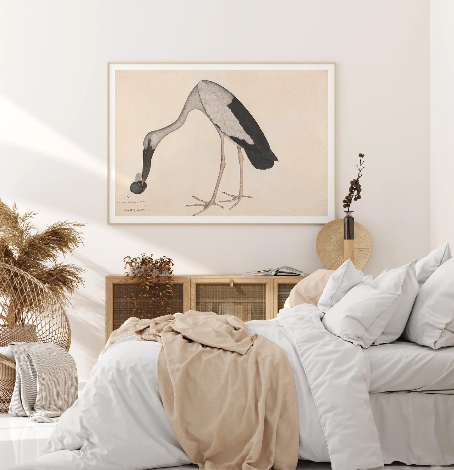 Affiche d'une cigogne à bec ouvert asiatique