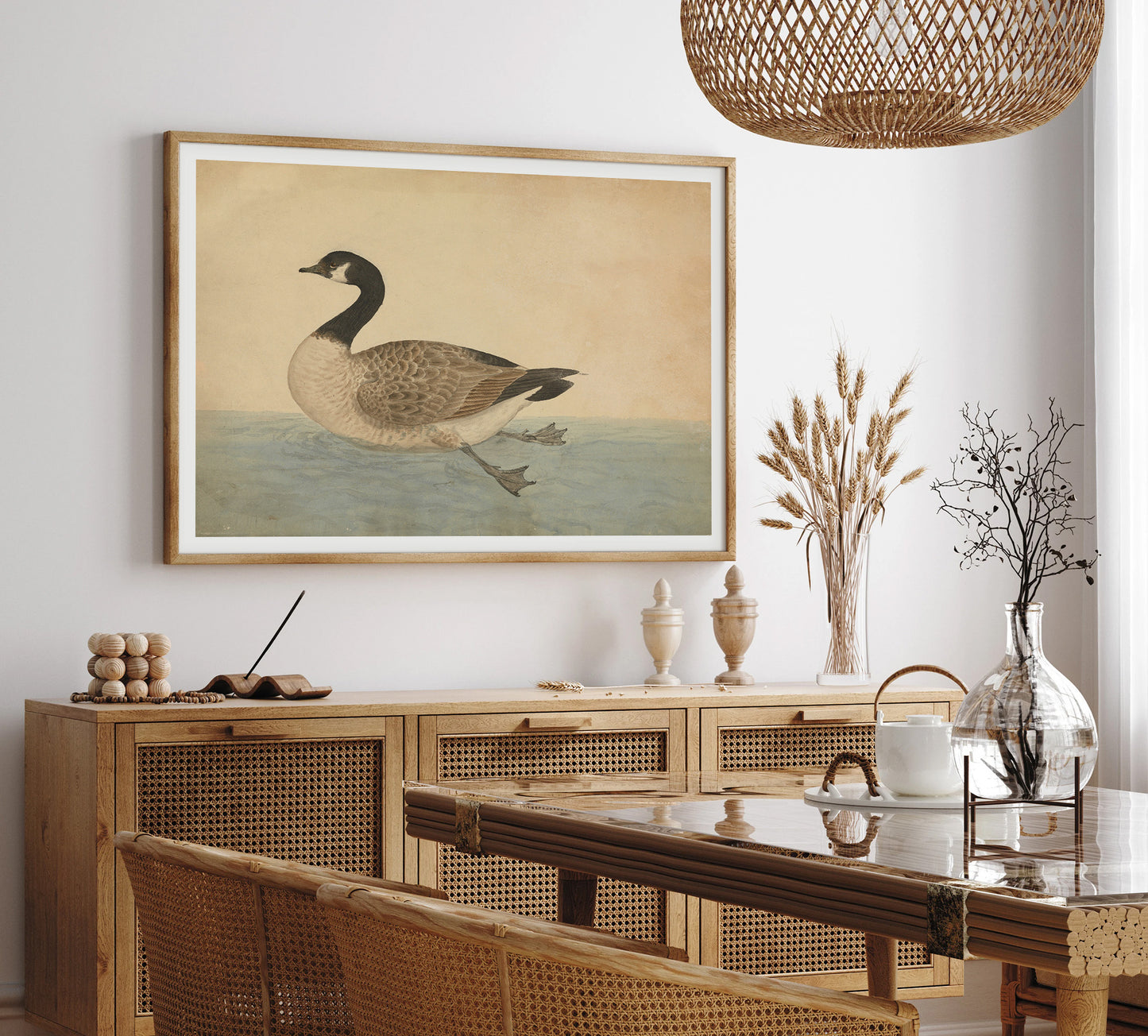 The Canada goose  - James Sowerby