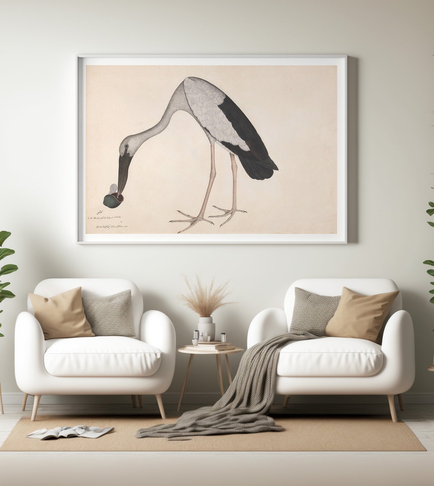 Affiche d'une cigogne à bec ouvert asiatique