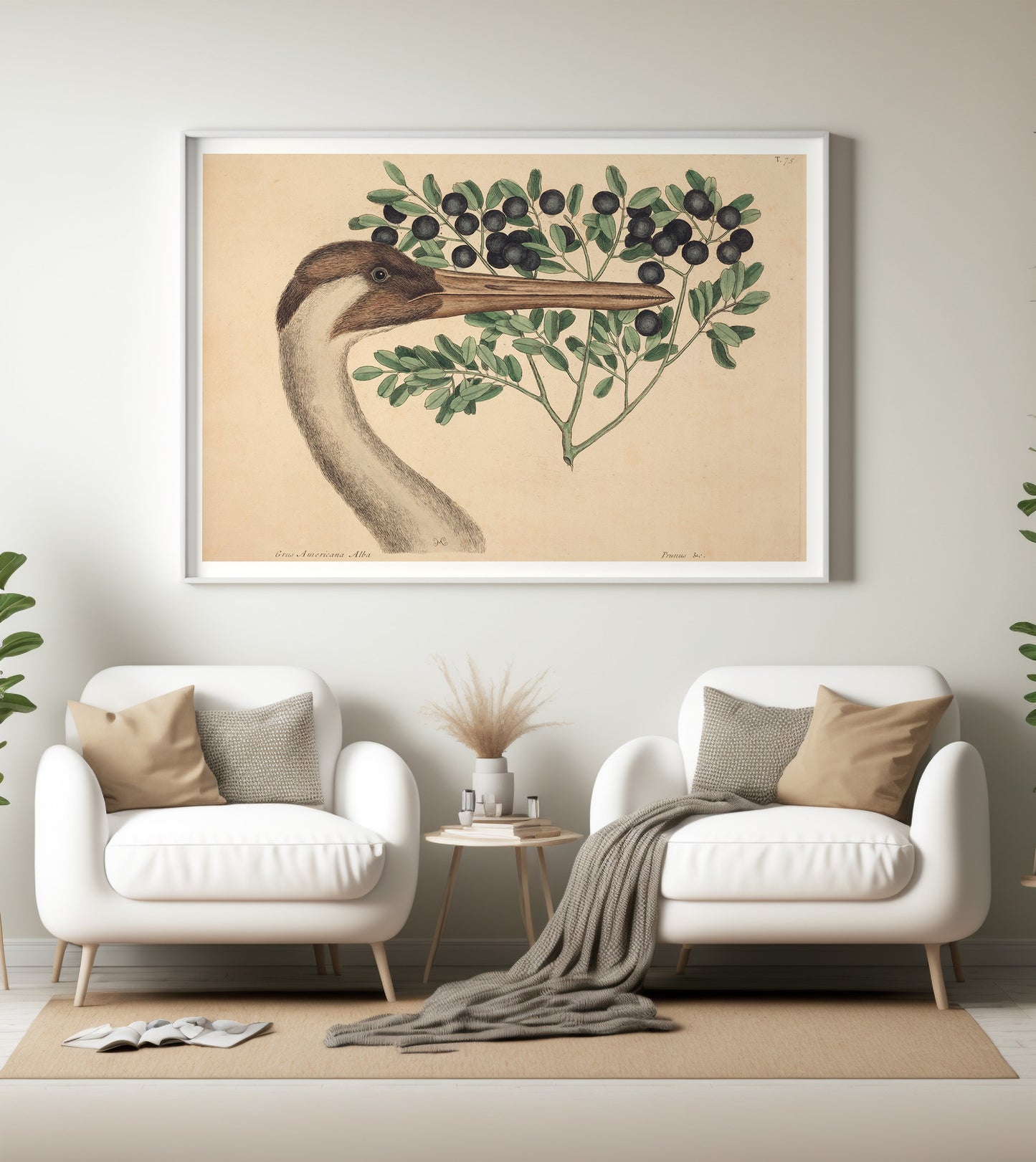 The Hooping Crane (Ardea Americana), by Mark Catesby