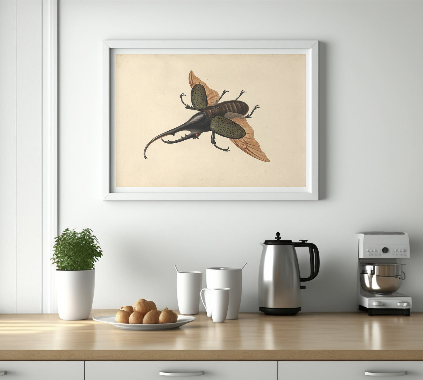 Hercules beetle by George Edwards