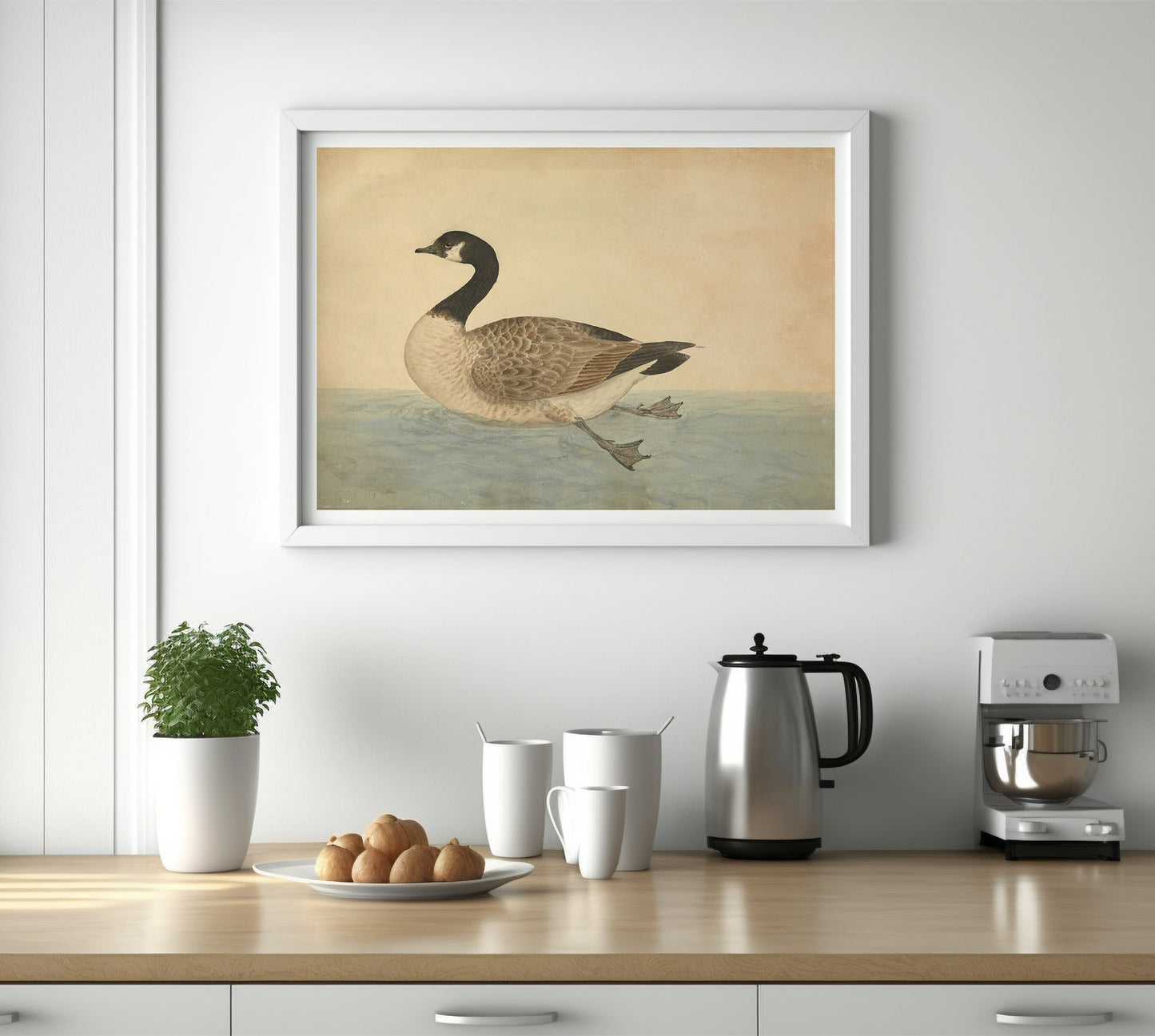 The Canada goose  - James Sowerby