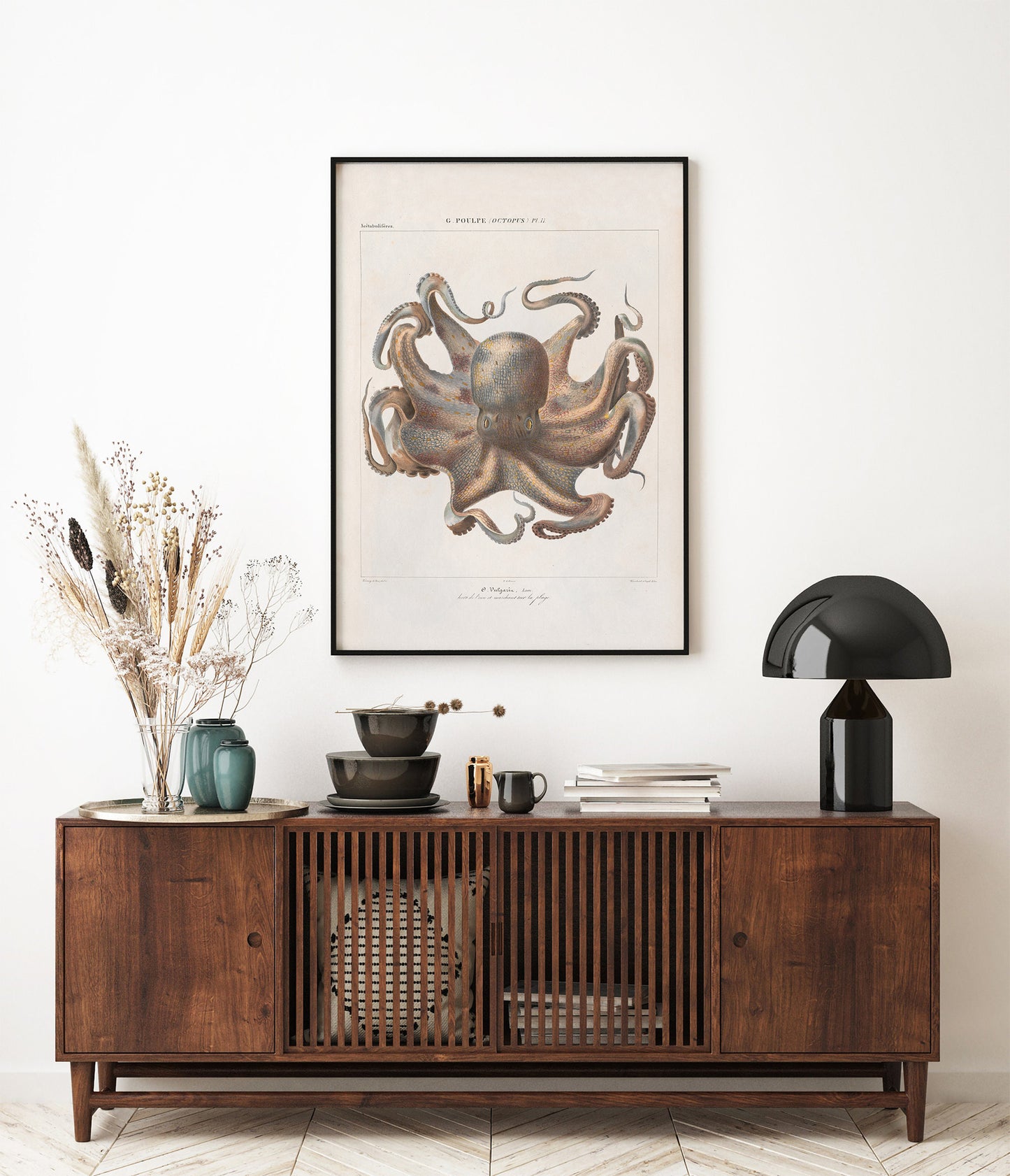 Vintage French illustration of an octopus